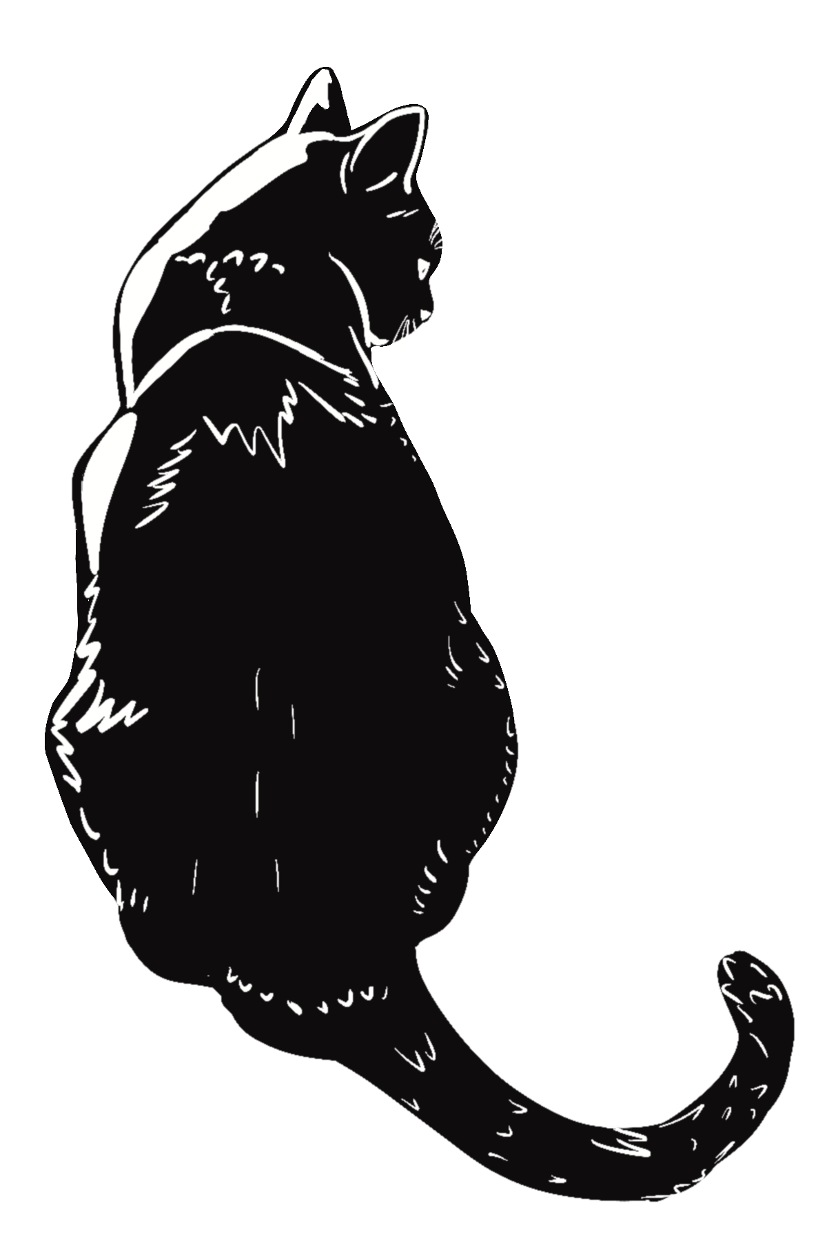 JAva sitting stamp.png