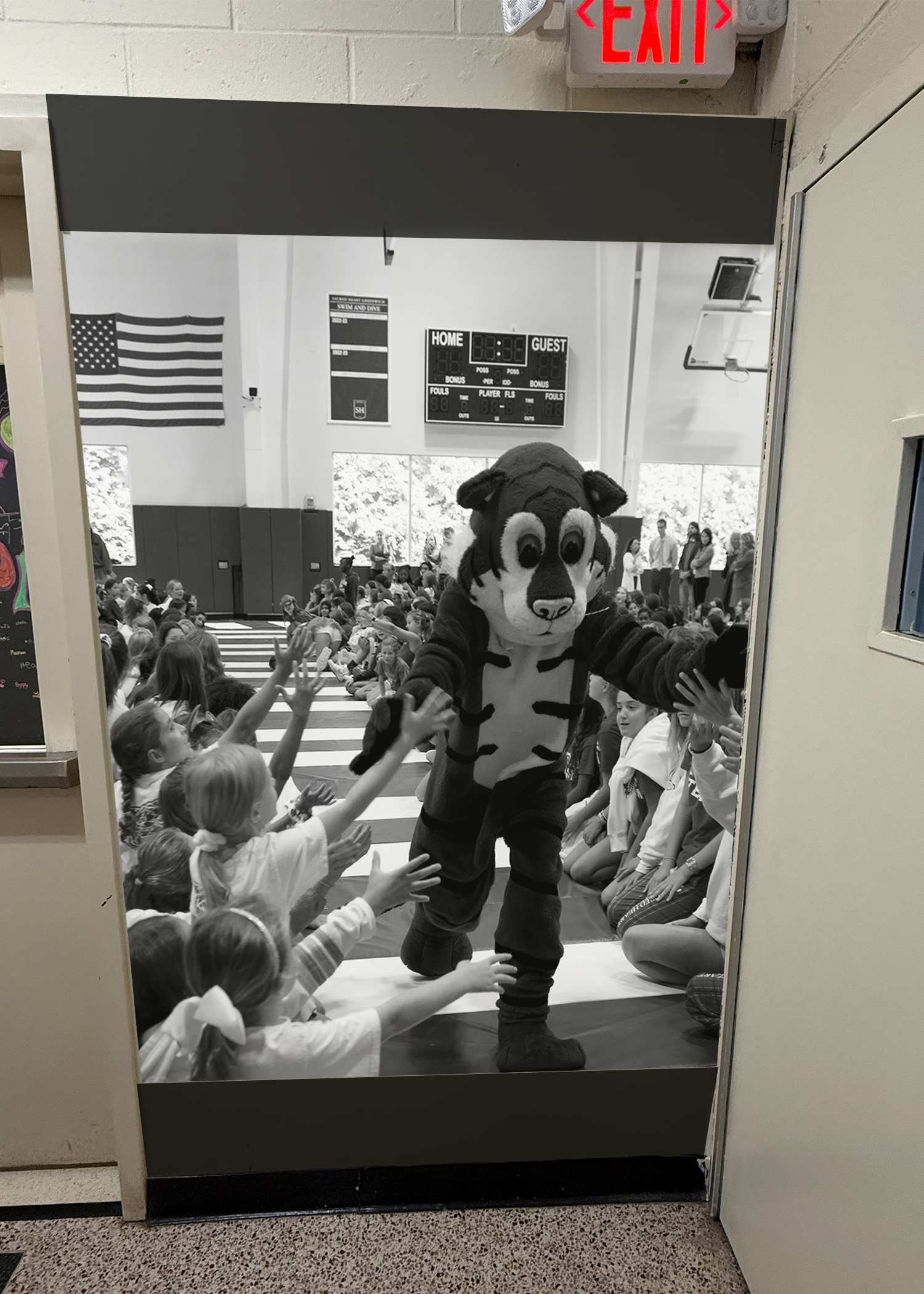 picture wall bw roary grey.png
