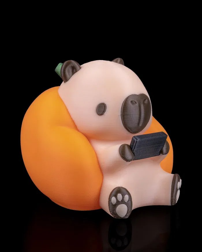 Gamer_Capy_1_005a082664.jpg