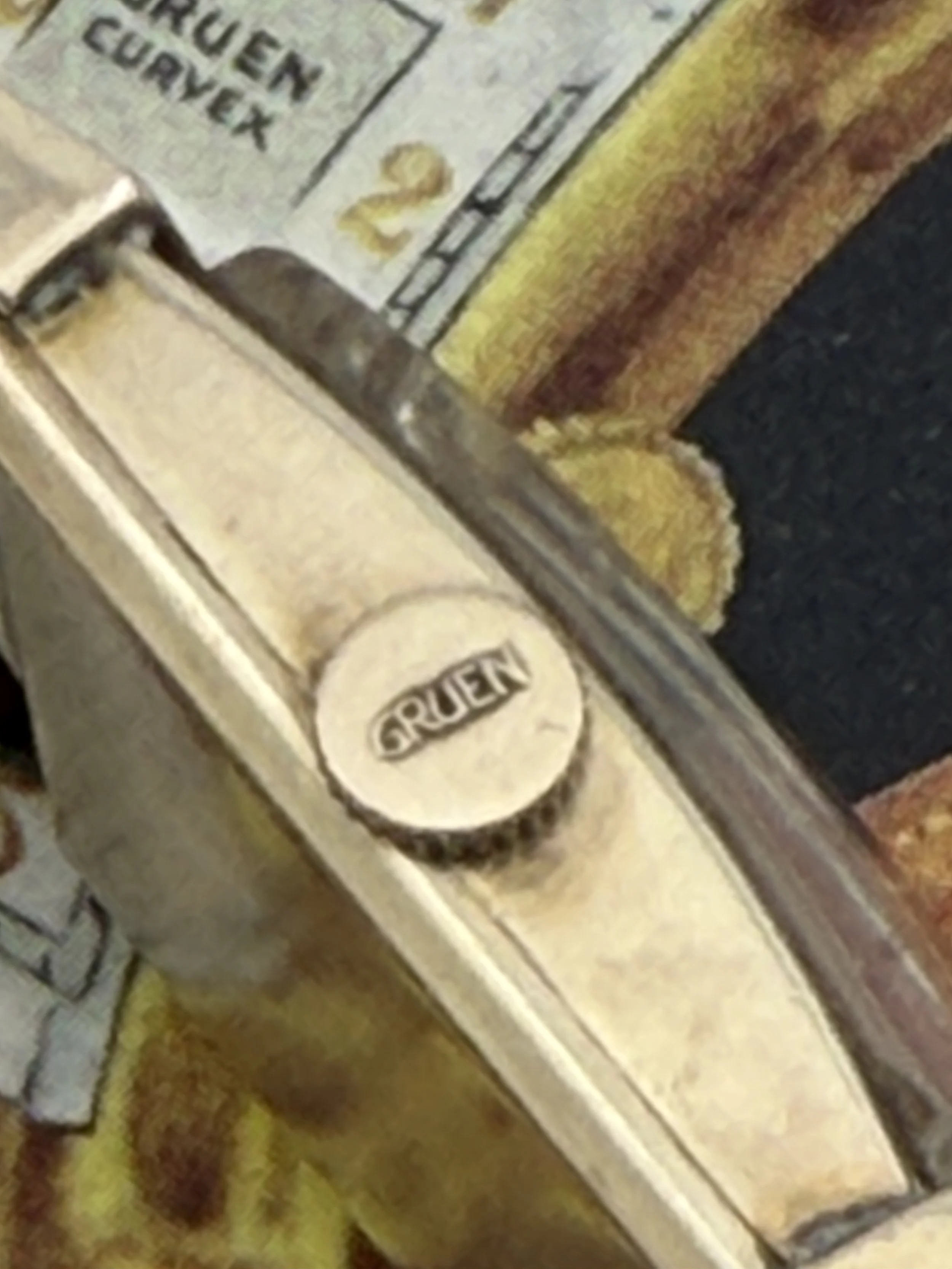 IMG_3420.jpeg
