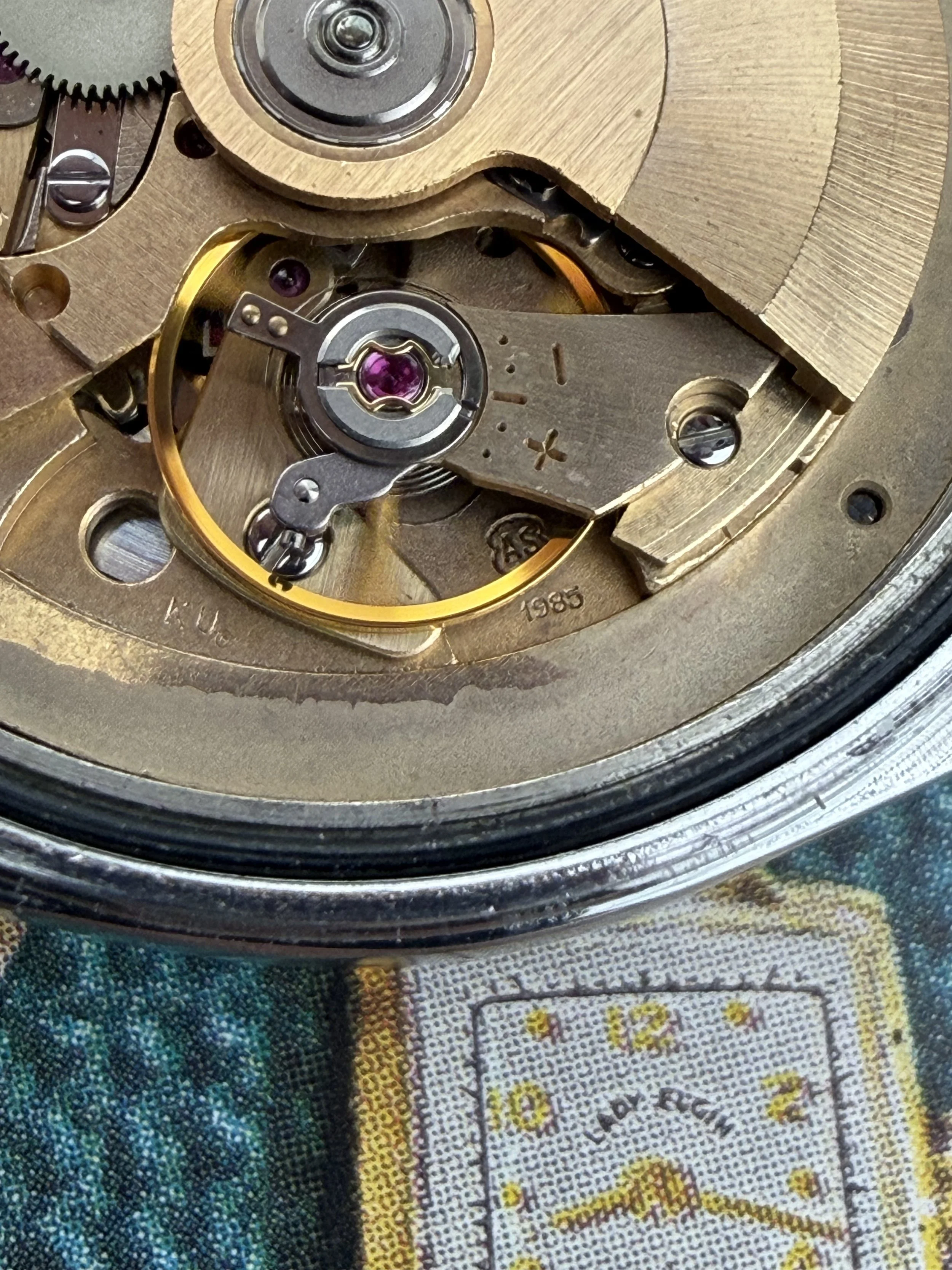 IMG_5065.jpeg