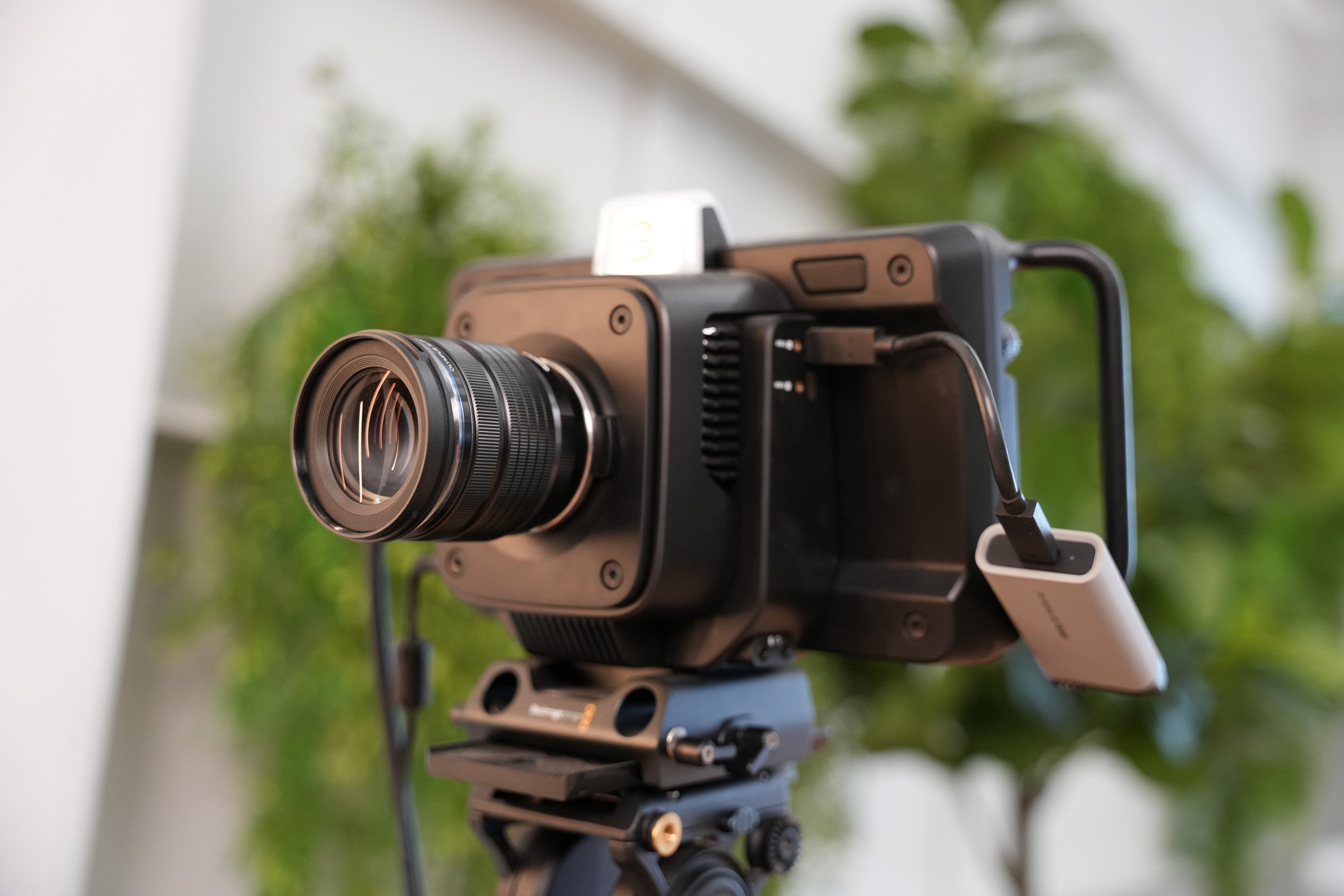 Black camera with large lens mounted on tripod, with green leafy background.
