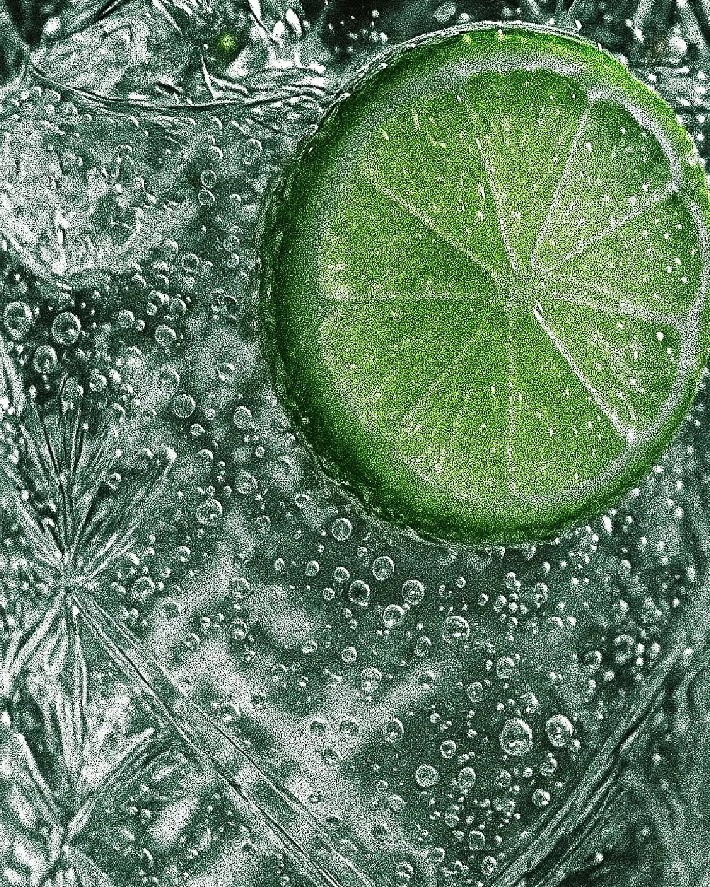 Happy International Gin &amp; Tonic Day! 🍸

Here&rsquo;s to crisp pours, good company, and gin done right. Cheers from West End Gin! 🎉

#InternationalGinAndTonicDay #WestEndGin #WEG #GinandTonic #Cheers
