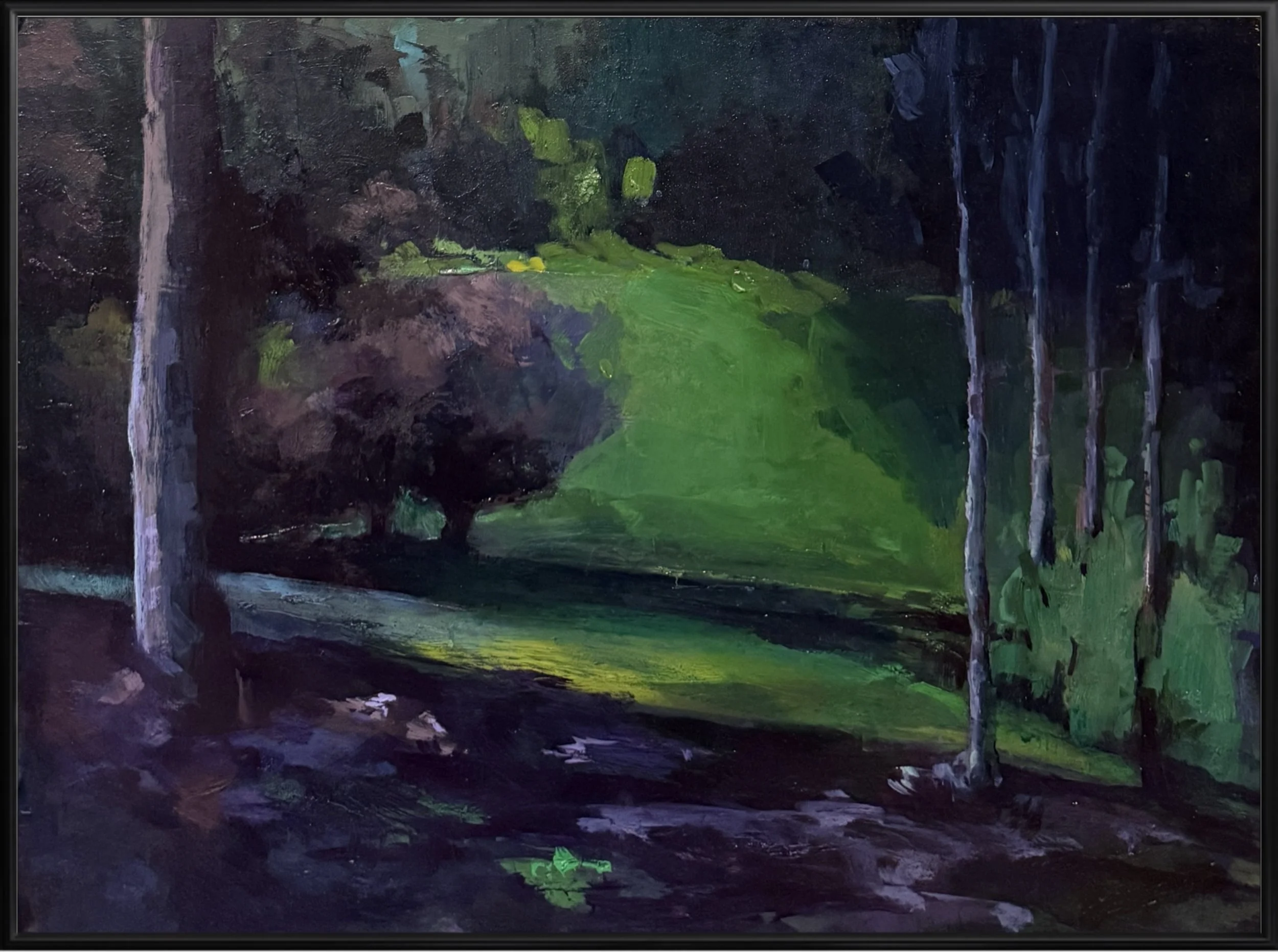 "Shadowed Grove" 12x16 Oil on Panel -2025
$670 includes framing -2025
