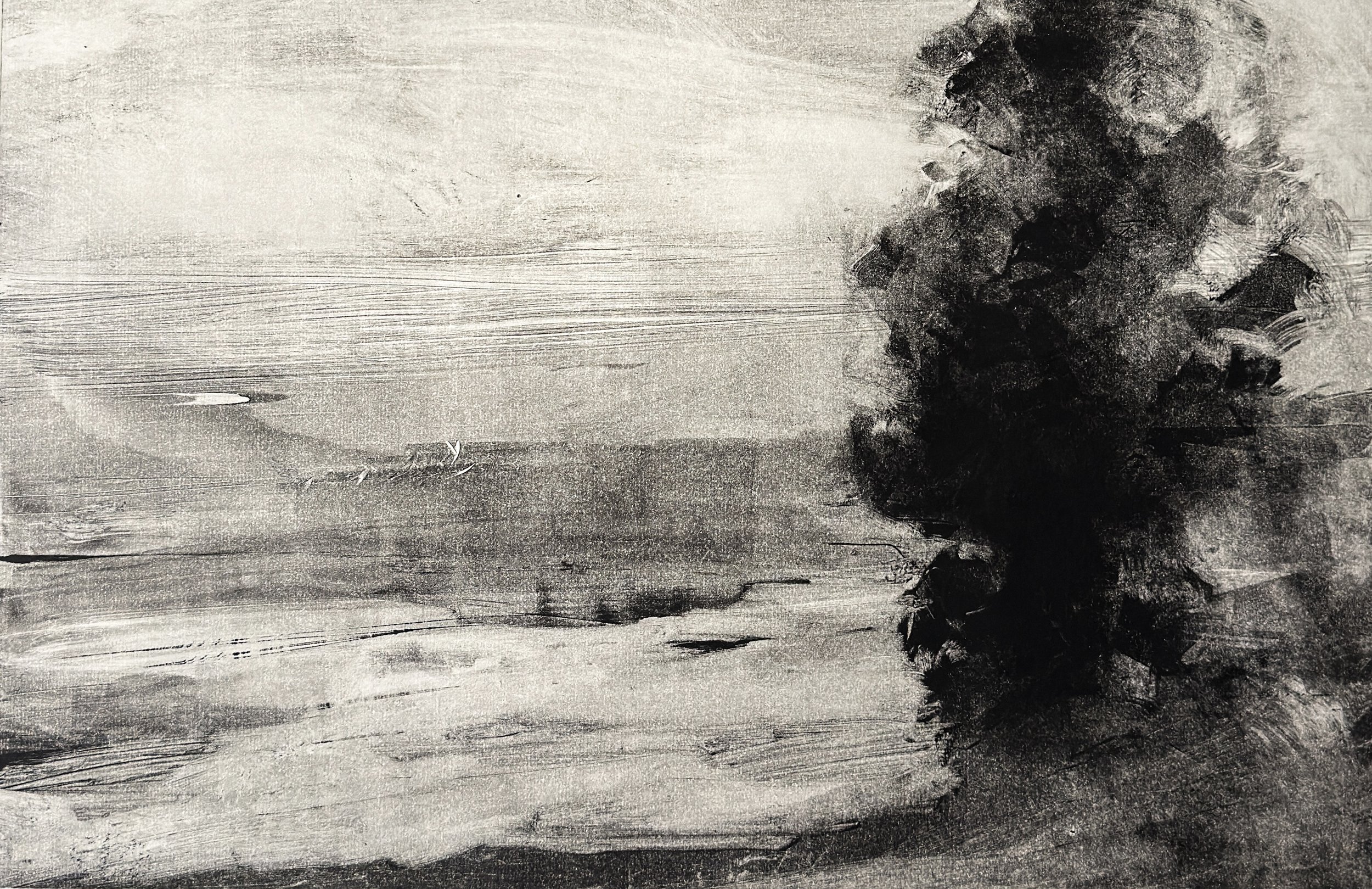 "Whispers through Stillness" 17x11 Monotype on 20x17 Shiramine Paper
$660 includes matting and framing
-2025