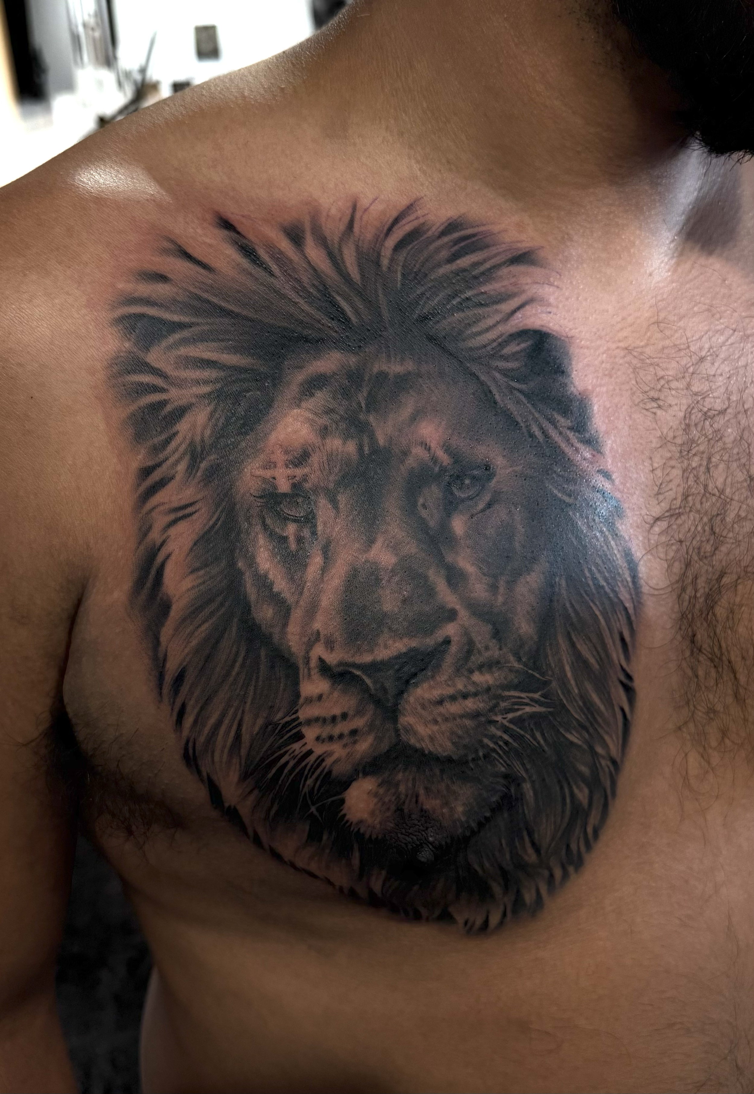 lion tattoo