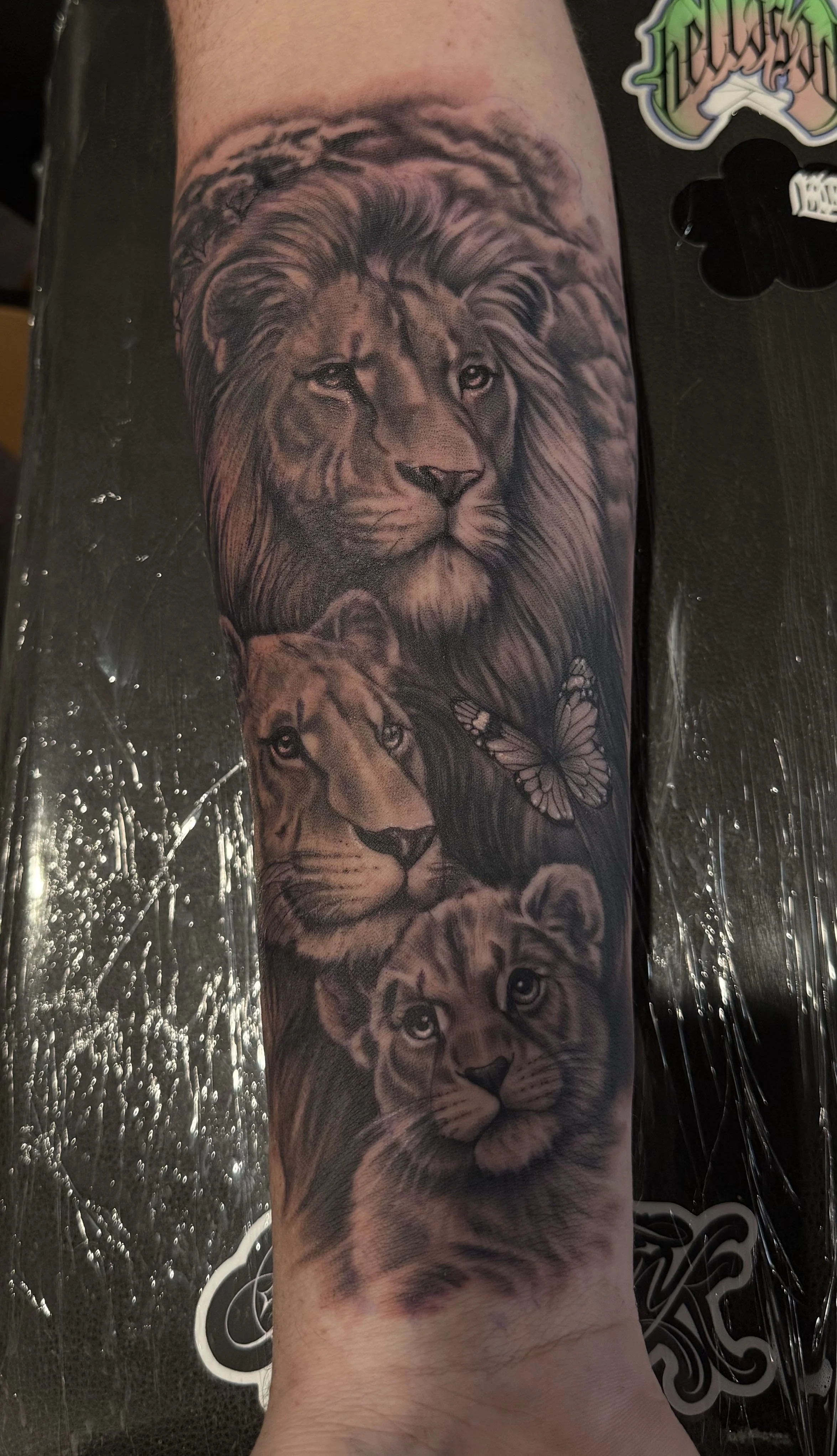 lion tattoo