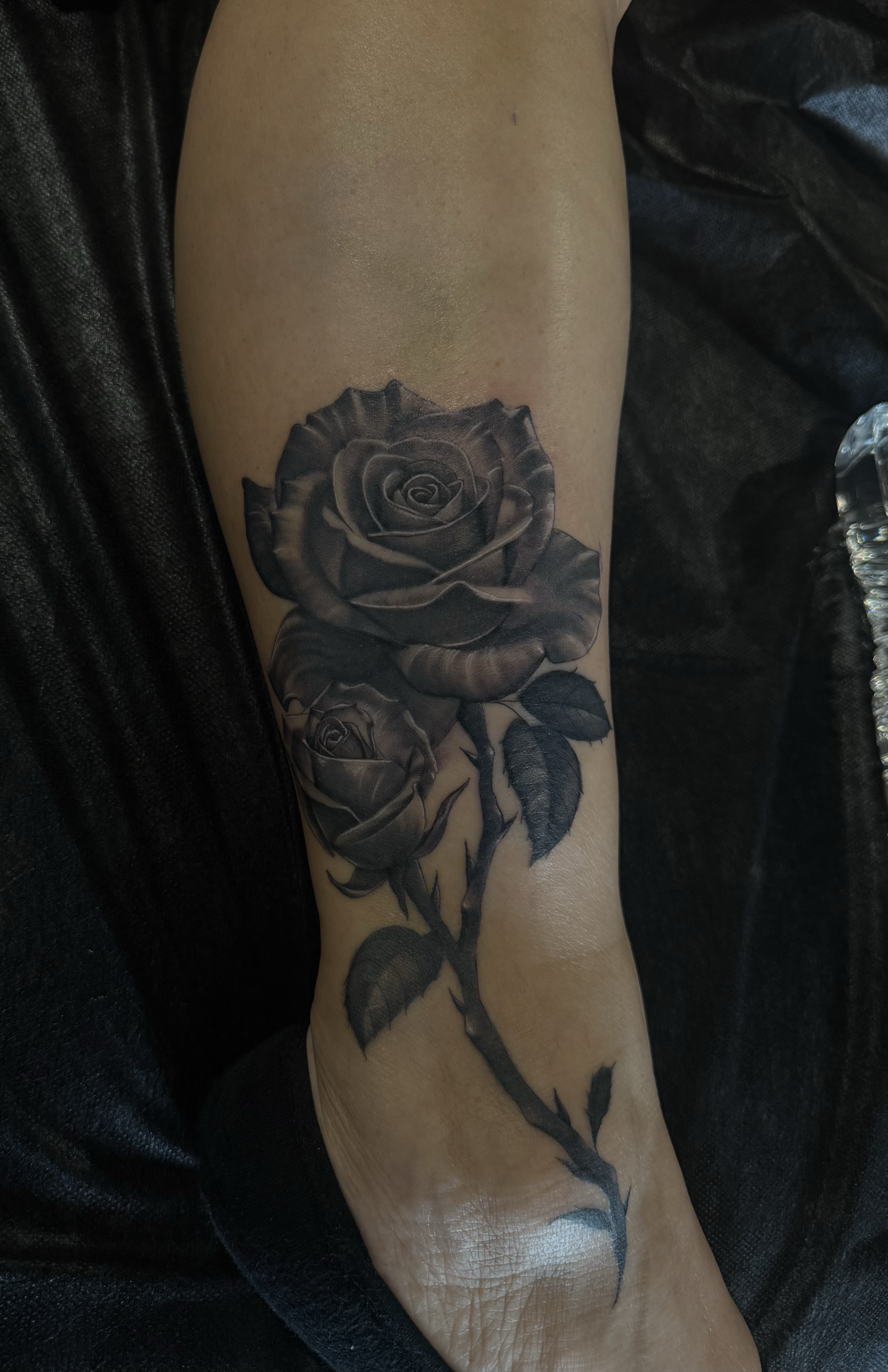 rose tattoo