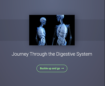 Dive into the fascinating world of human biology with this interactive adventure! As you travel through the digestive system, you’ll uncover the secrets of how our bodies process food. Engage with fun activities, interactive animations, and quizzes t