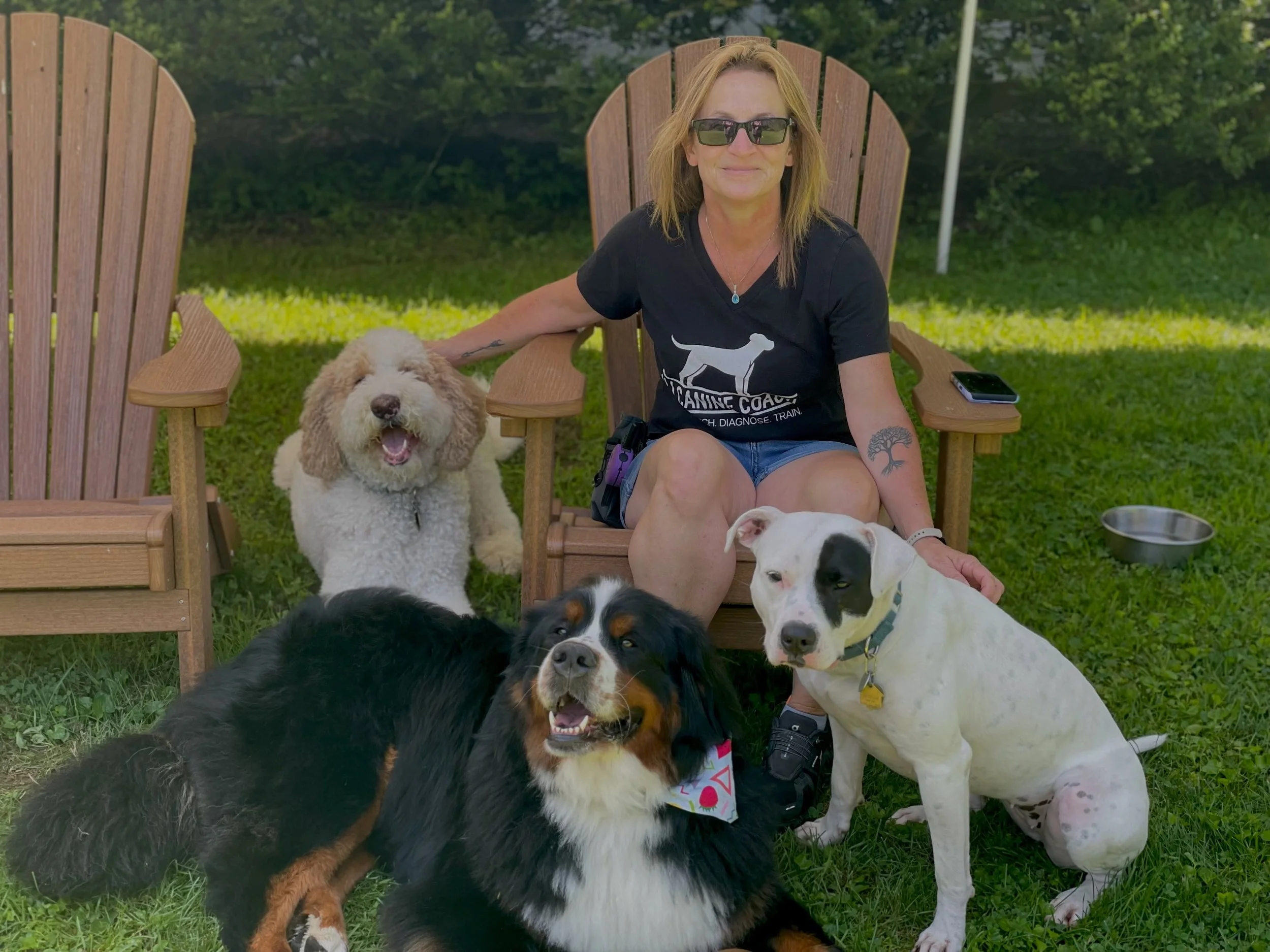 Work today ❤️

#balanceddogtrainer #njdogtrainer#socialization #confidencebuilding #luringguidancelove