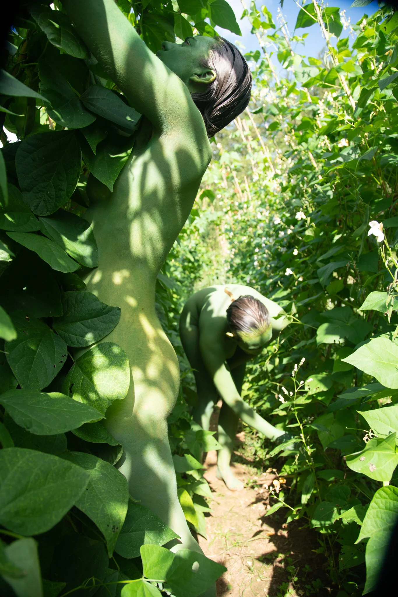 Verdent Visions-7.jpg