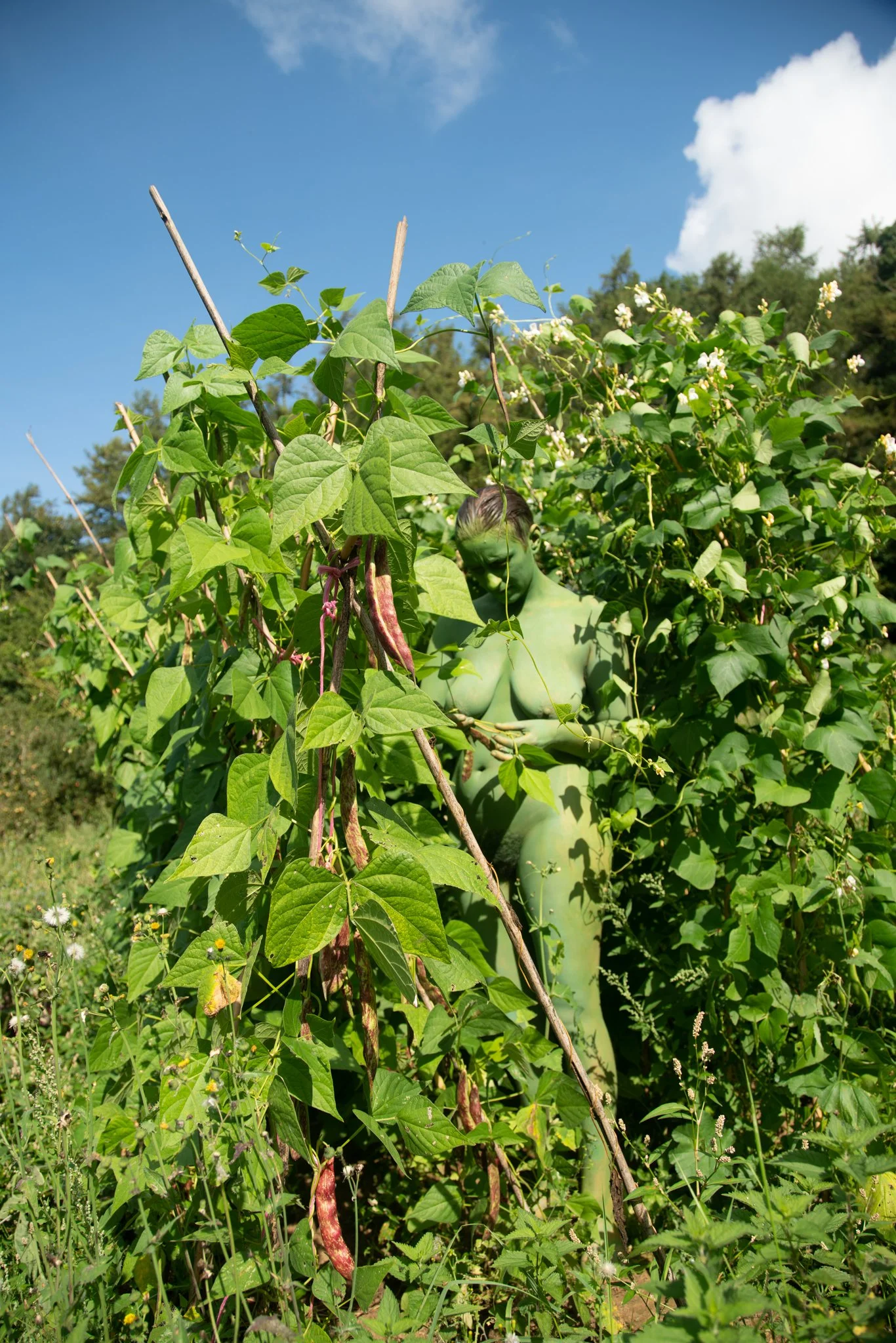 Verdent Visions-3.jpg