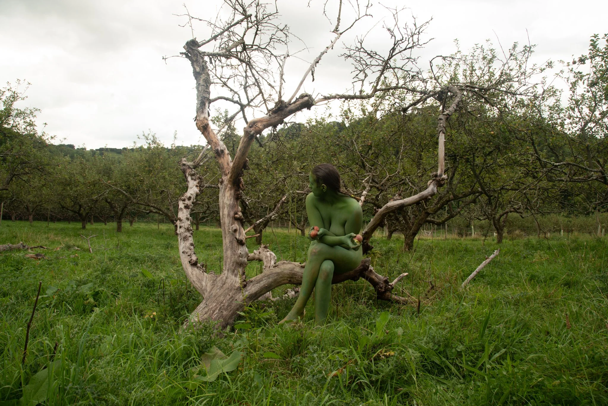 Verdent Visions-9.jpg