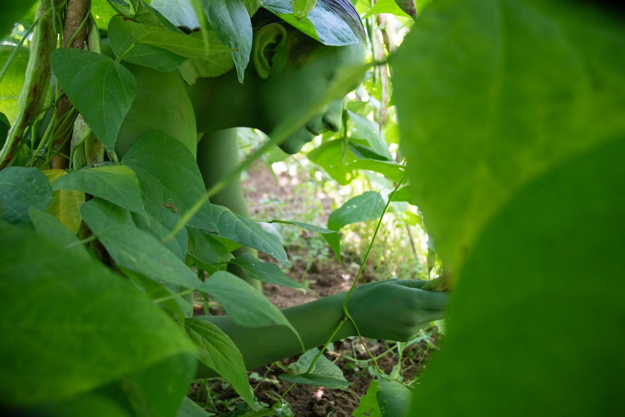 Verdent Visions-8.jpg