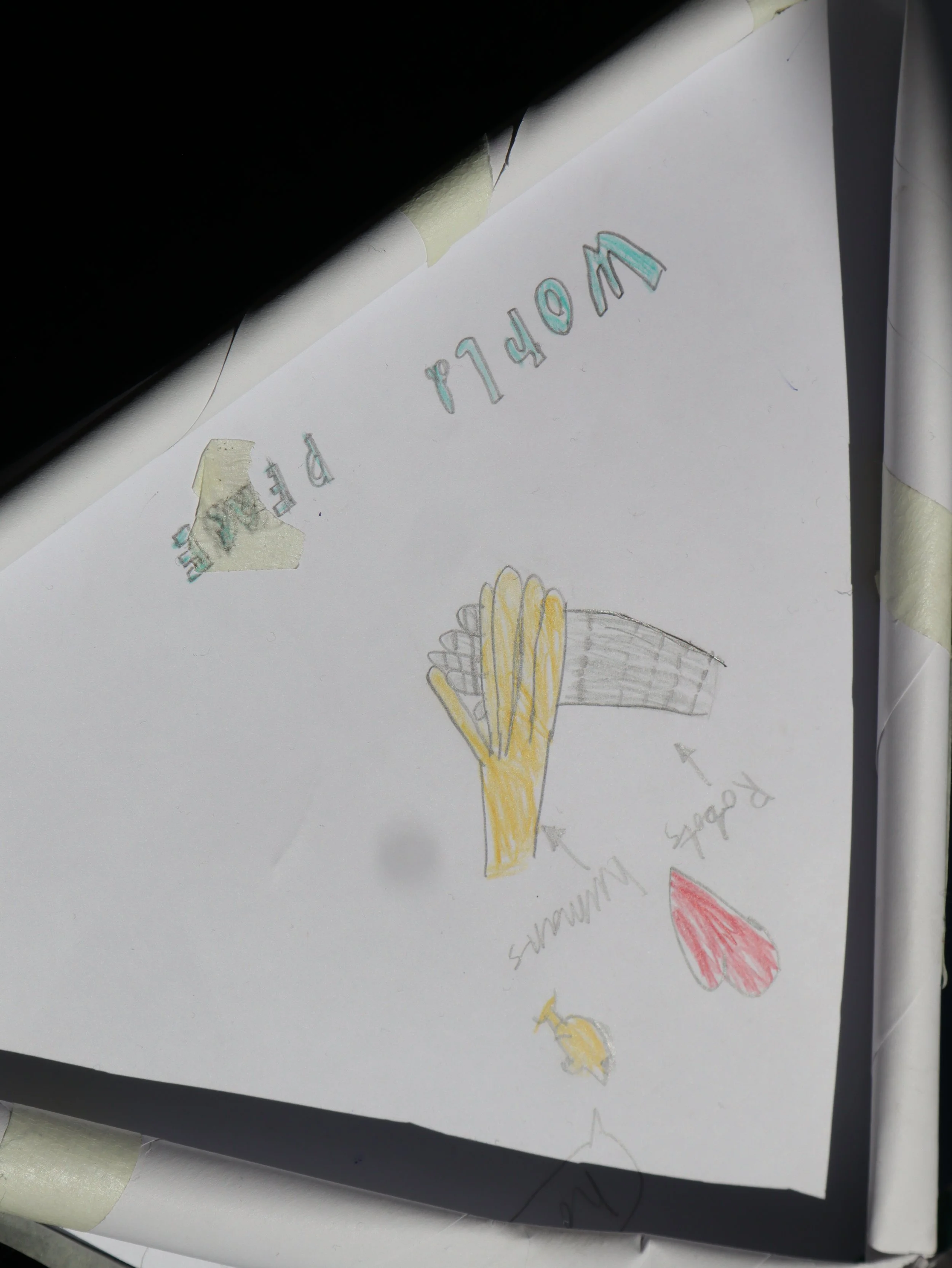IMG_2954.JPG