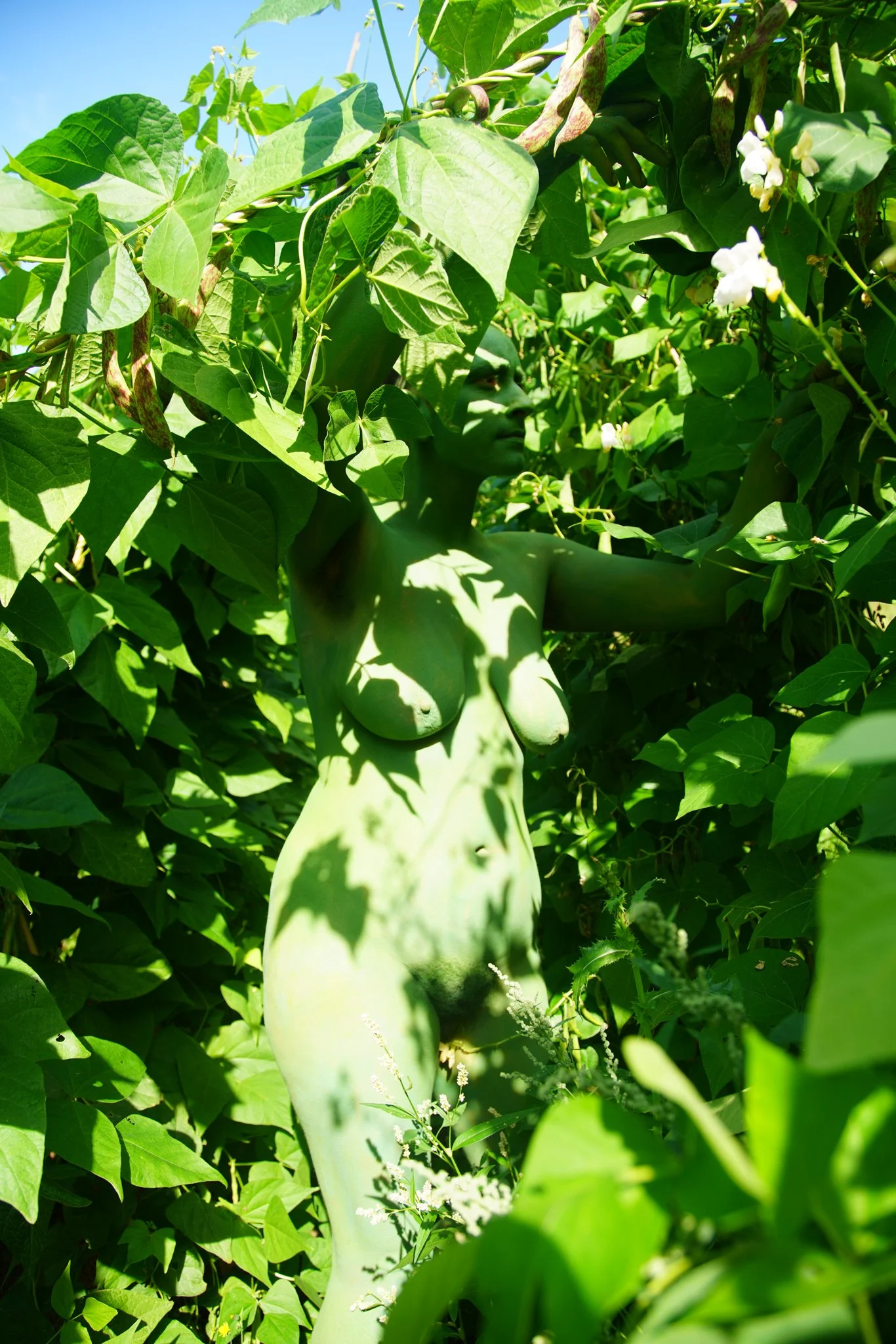 Verdent Visions-5.jpg