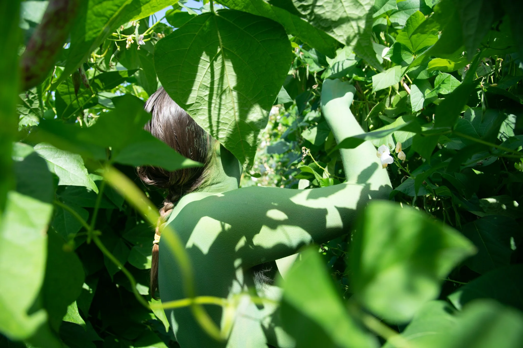 Verdent Visions-4.jpg