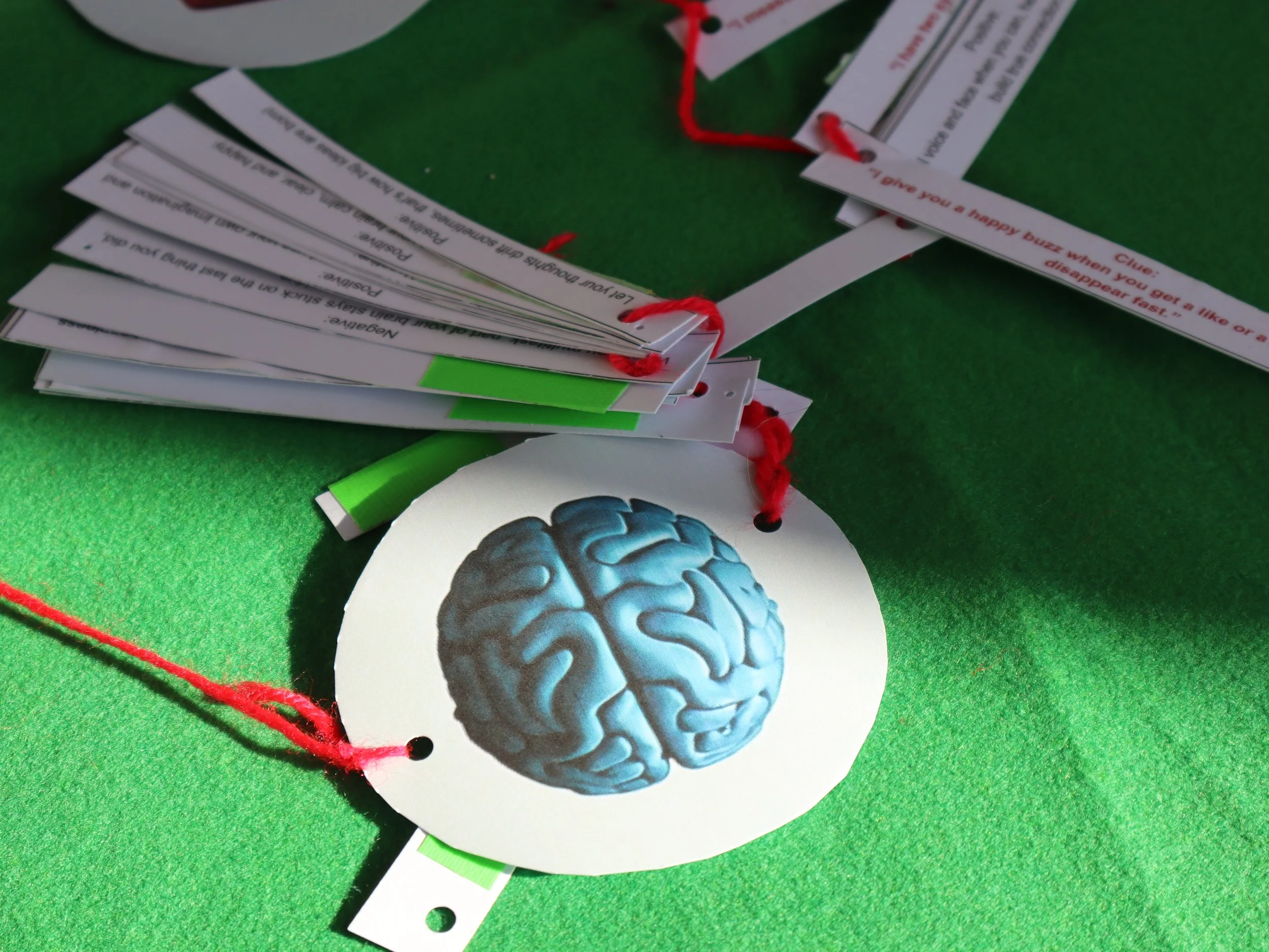 IMG_3010.JPG