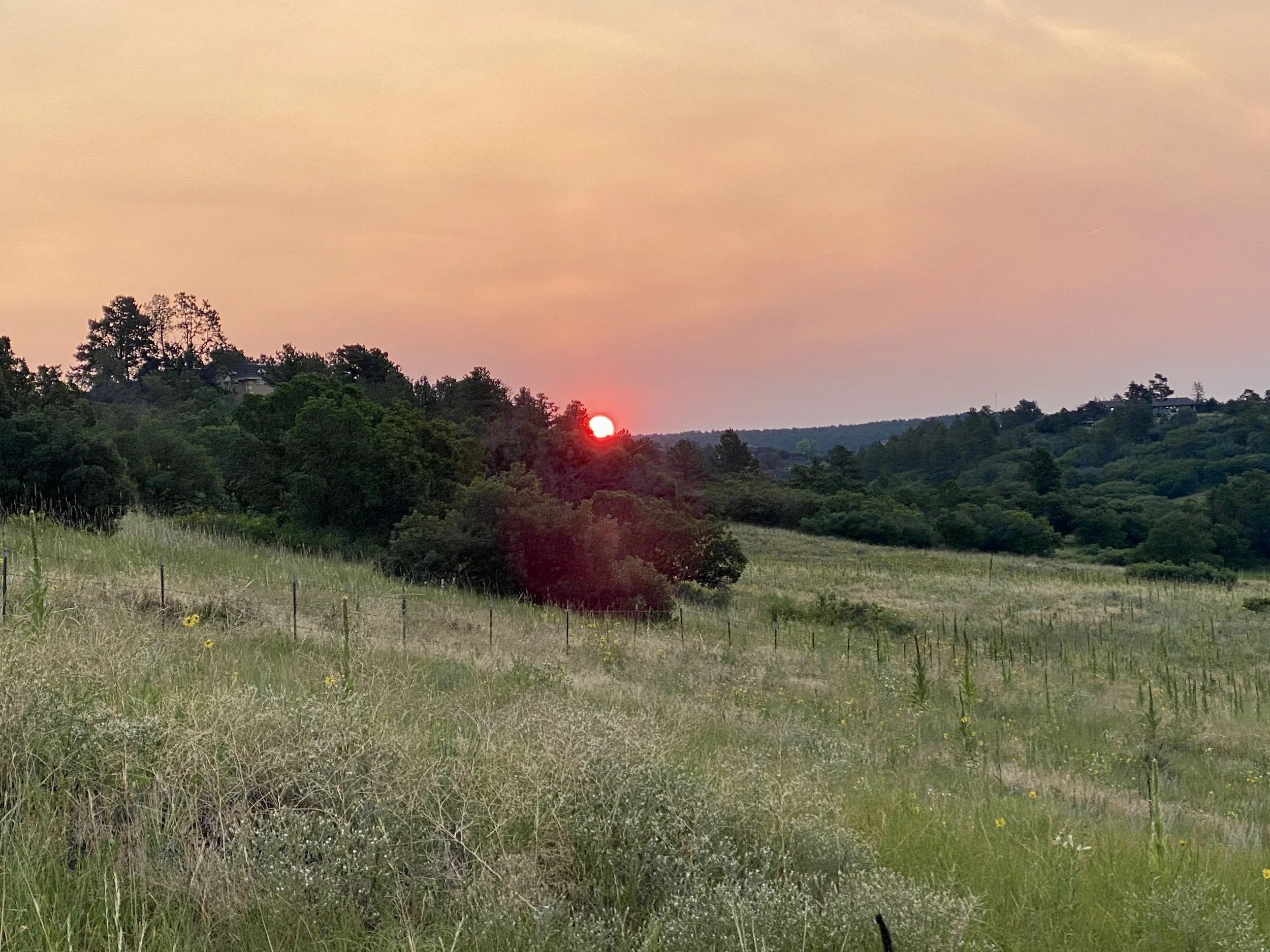 Run Toward the Music