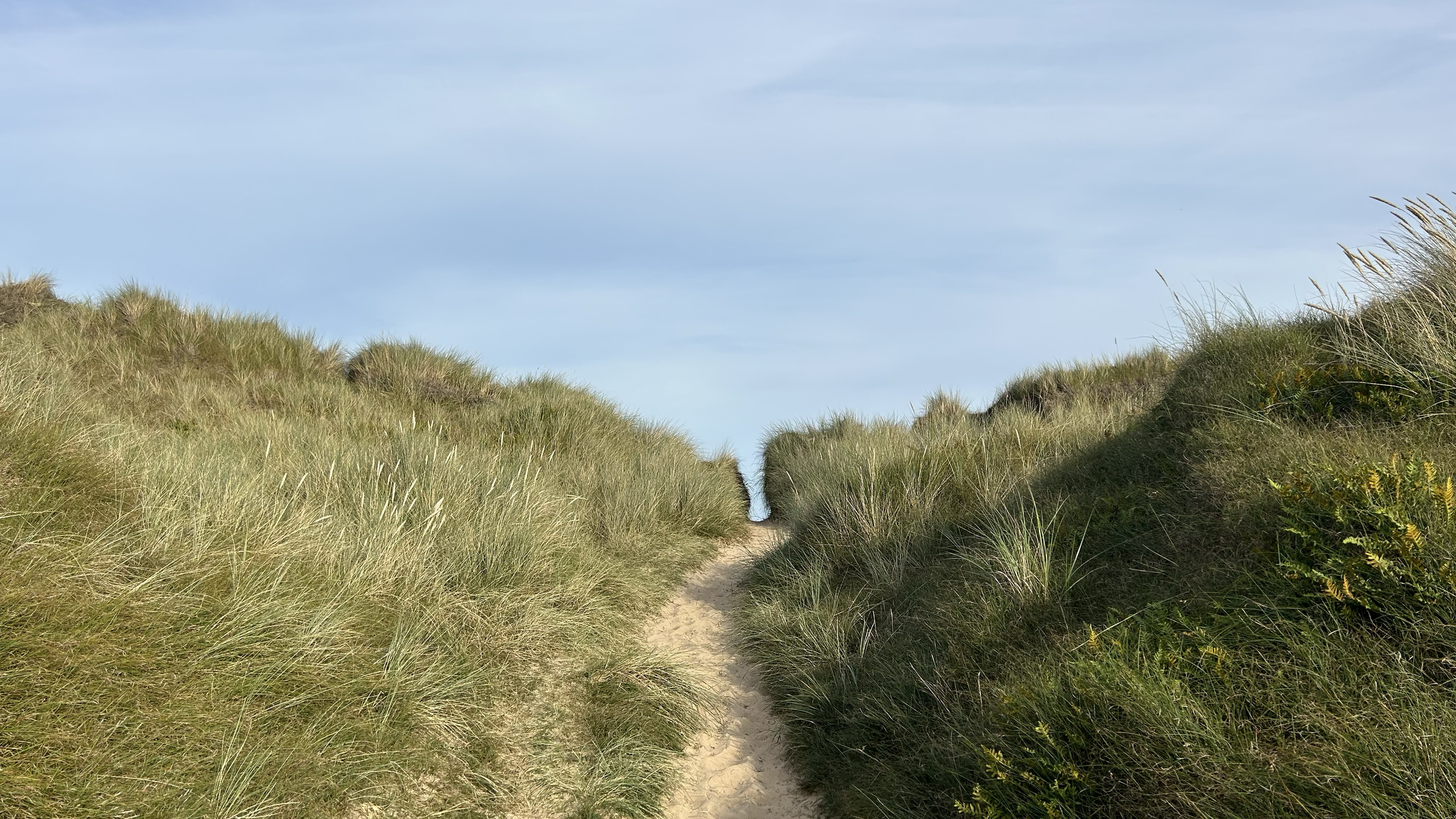 Dune path between grassy sand dunes with green vegetation, under a cloudy sky.