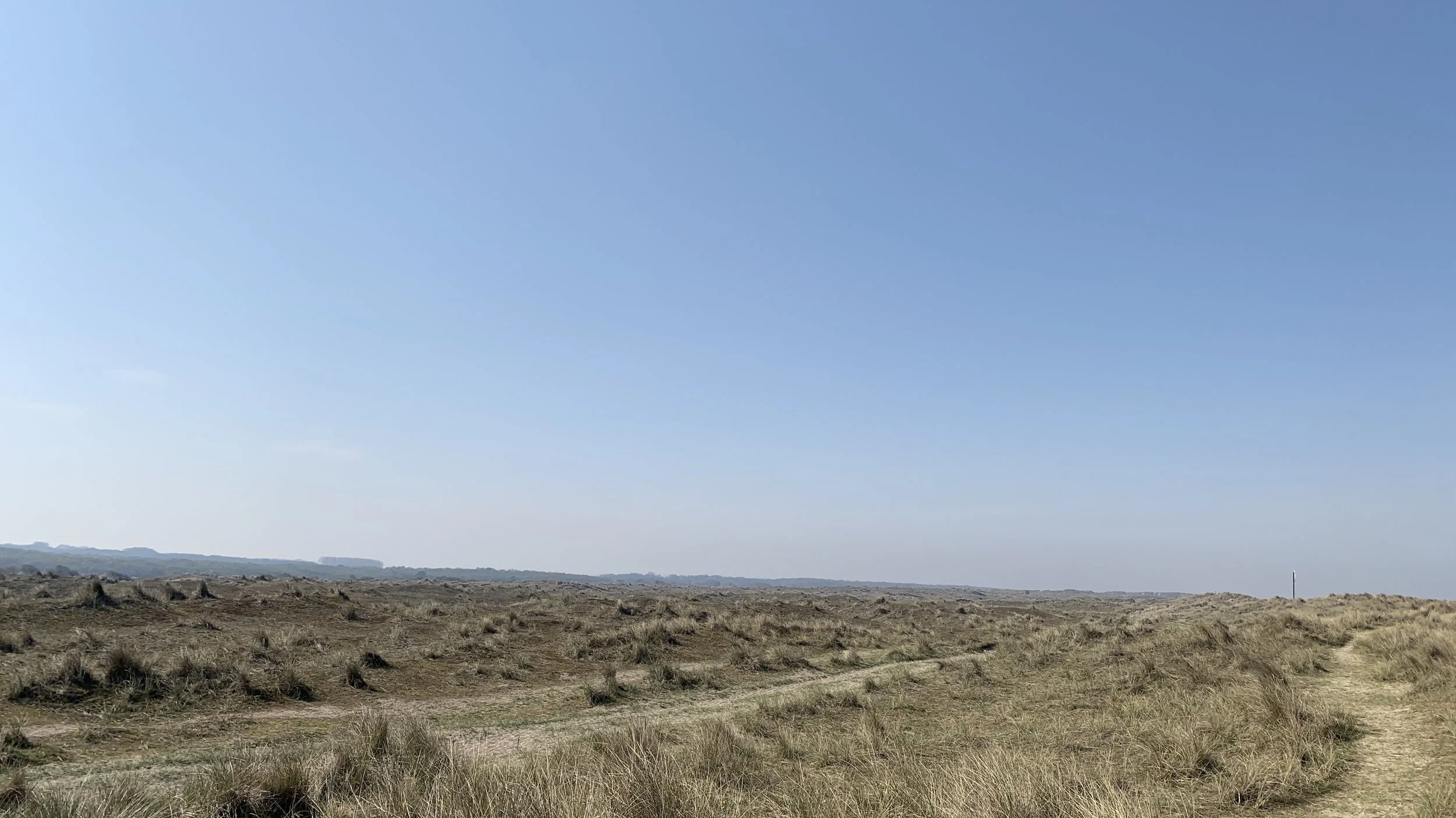 Open landscape with dry grass, dirt paths, and a clear blue sky.