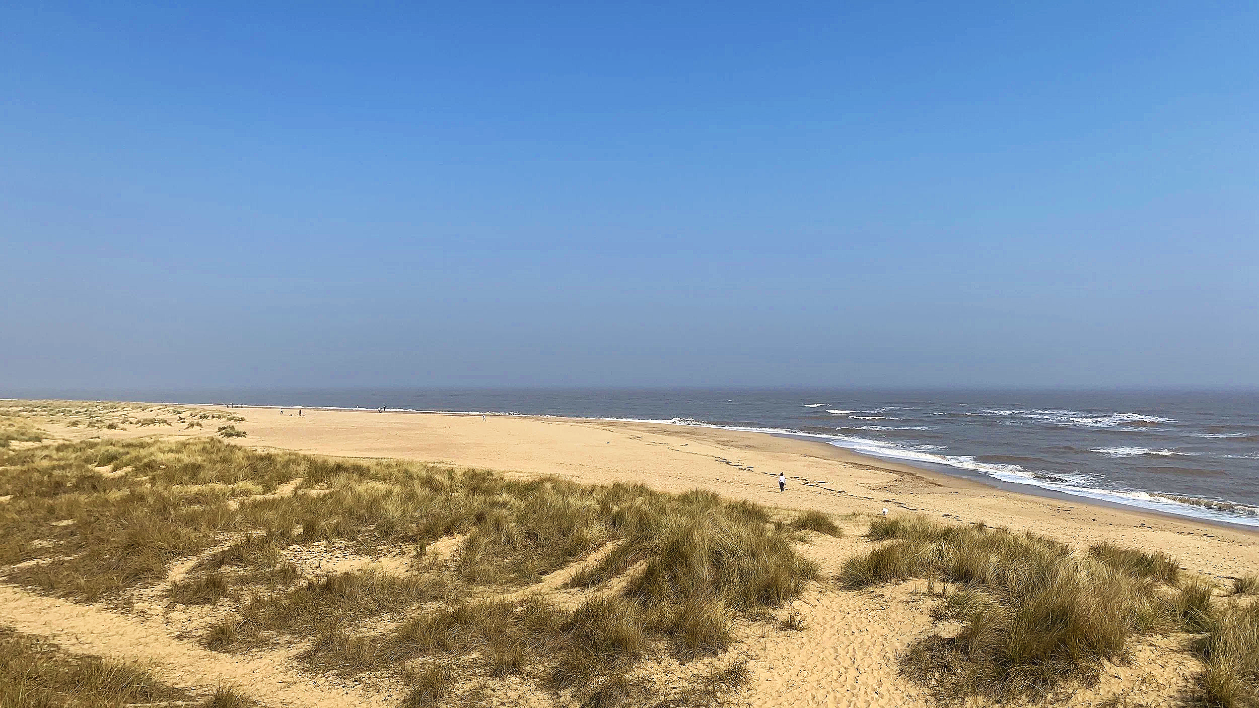 Empty sandy beach with grassy dunes, ocean waves, and a clear blue sky.