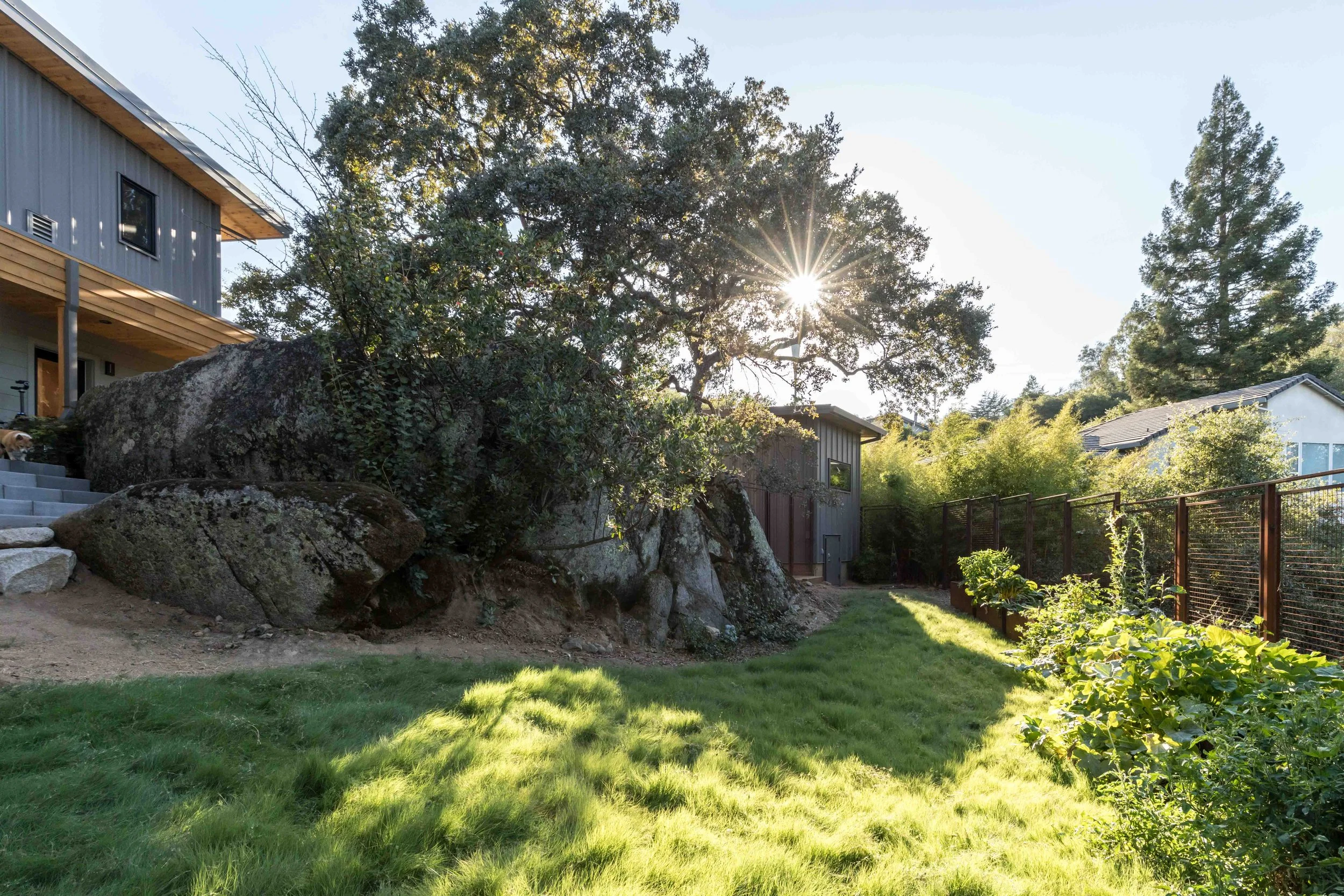 Outdoor view of a modern house with wooden siding, surrounded by nature, featuring a large boulder, lush green grass, trees, and a sun shining through the branches.