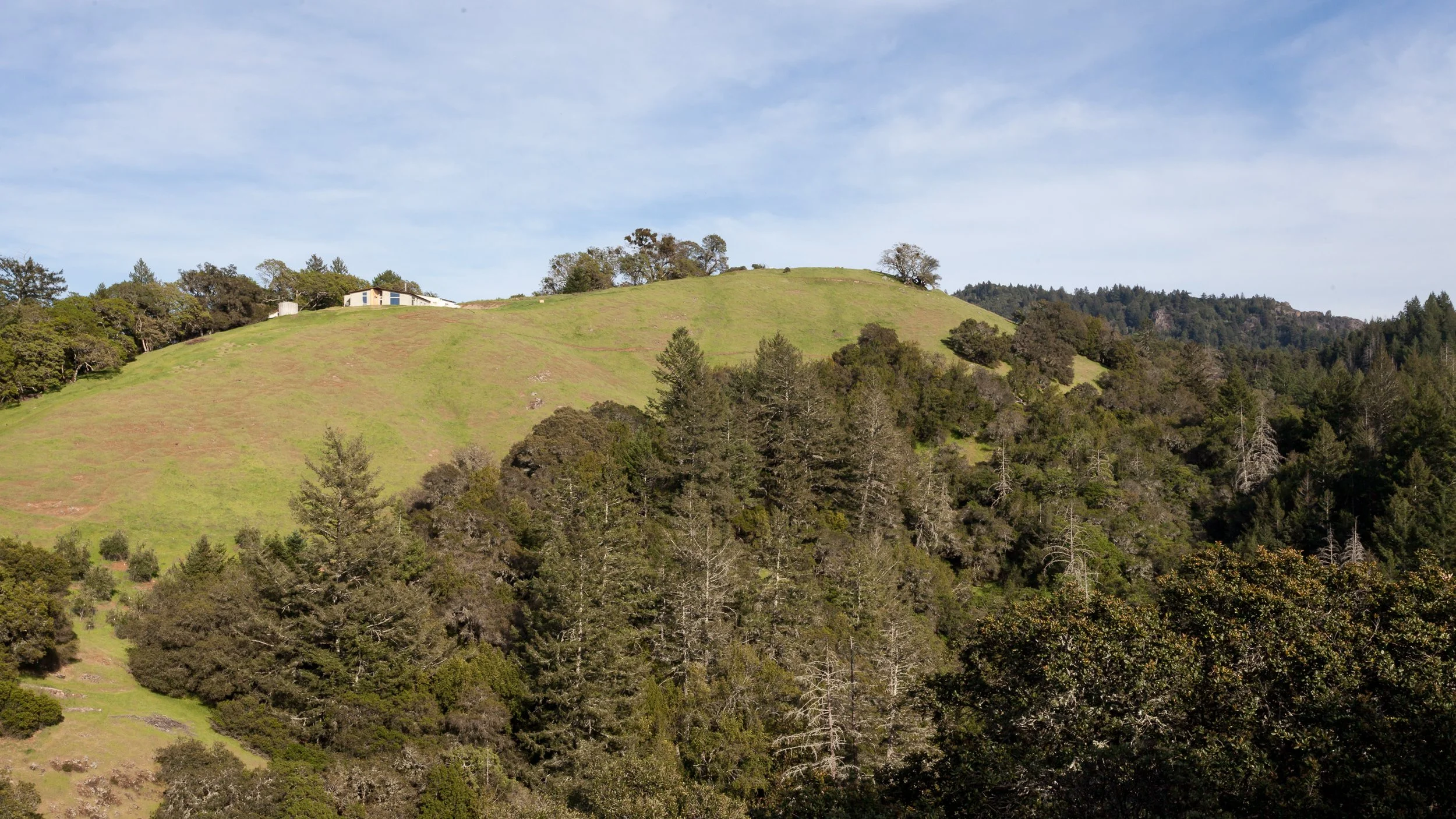Grassy hilltop with trees and a small building under a blue sky