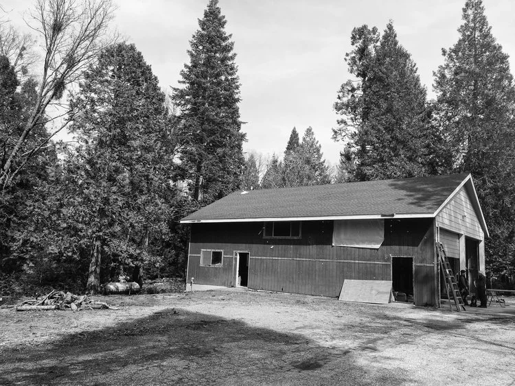 Black and white image of a rustic barn surrounded by tall trees in a forested area.