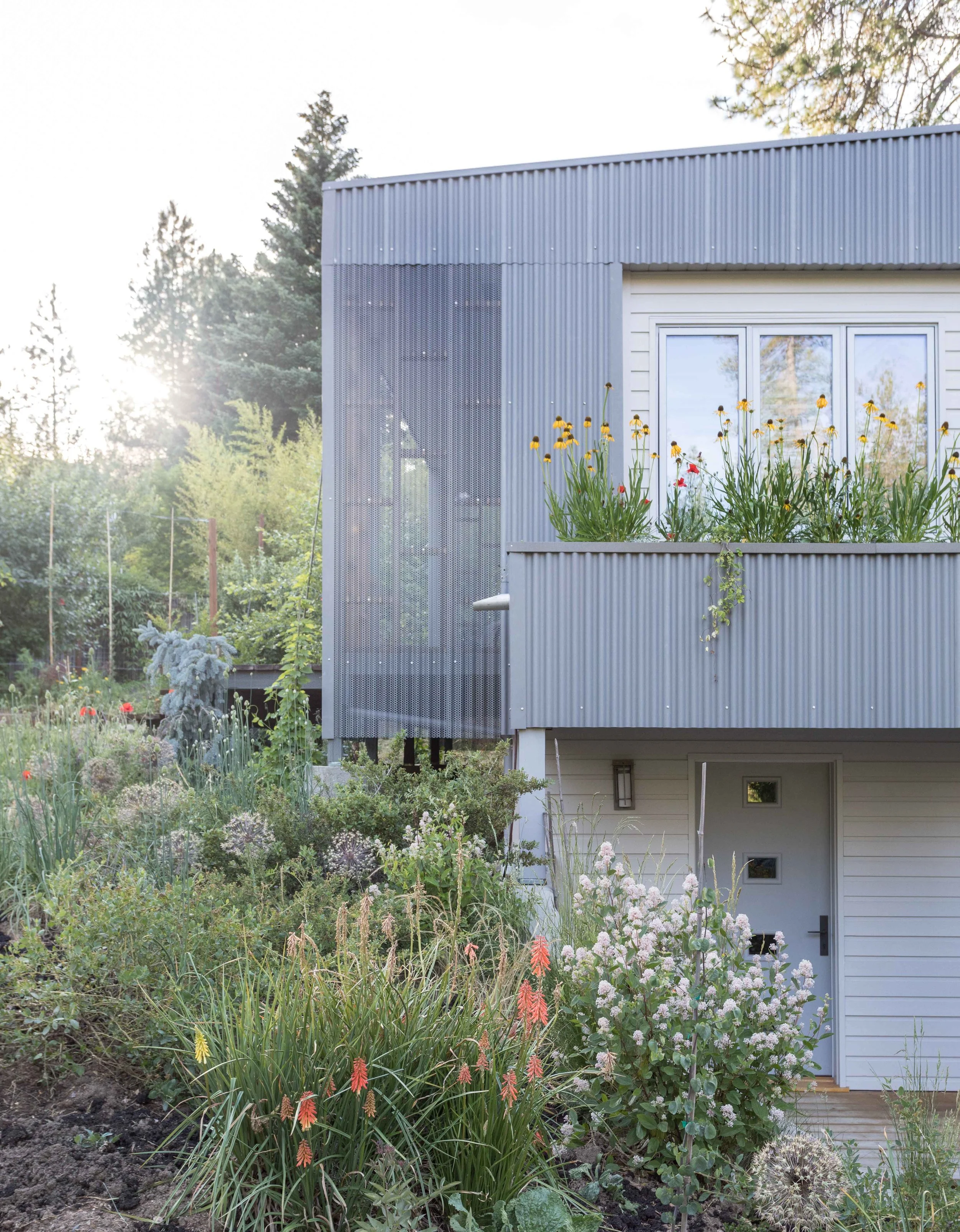 Modern house exterior with corrugated metal siding, large windows, and lush garden featuring various flowers and plants, set against a backdrop of trees.