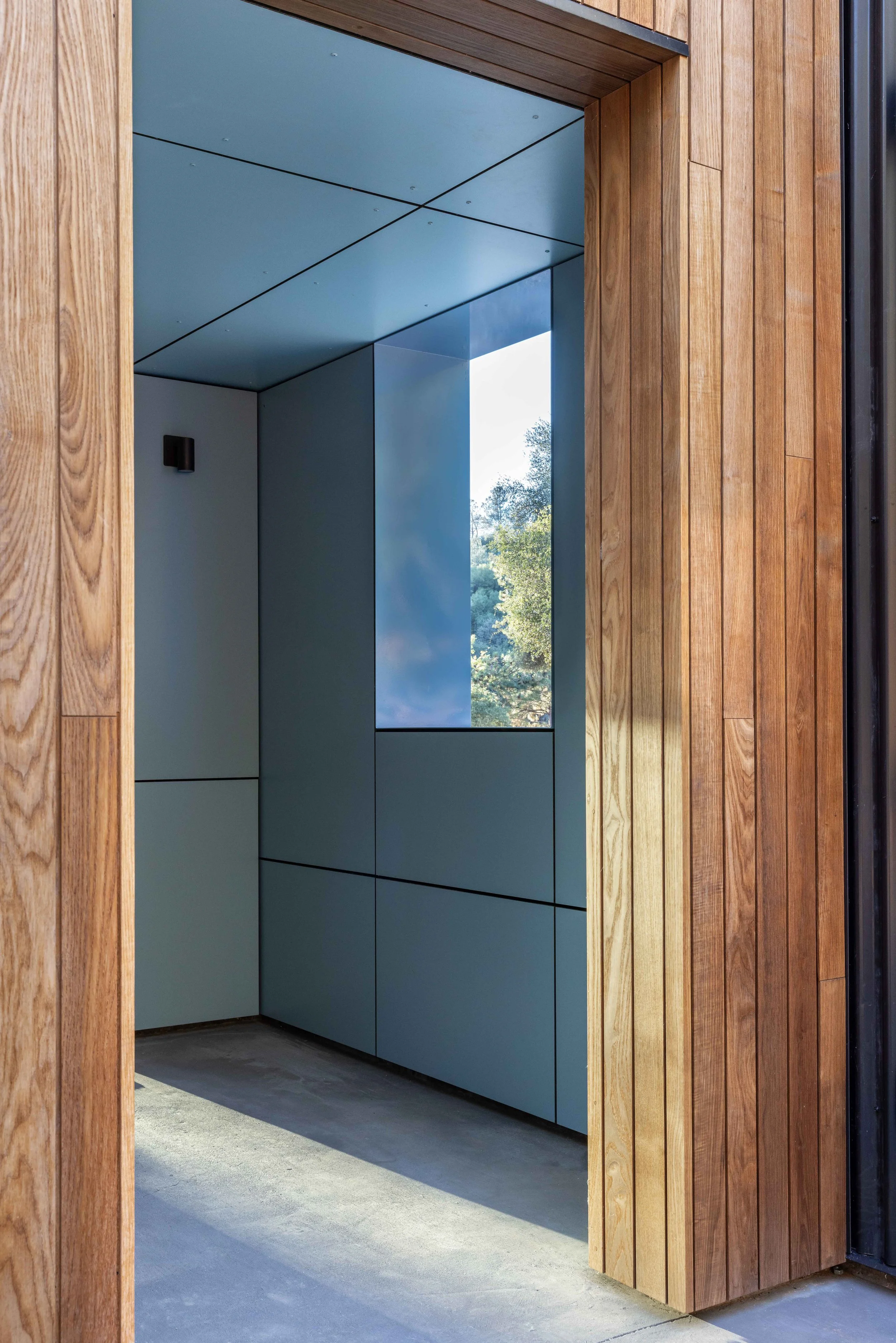 Modern architectural entryway with wood paneling and sleek interior panels, featuring a window with a view of trees.
