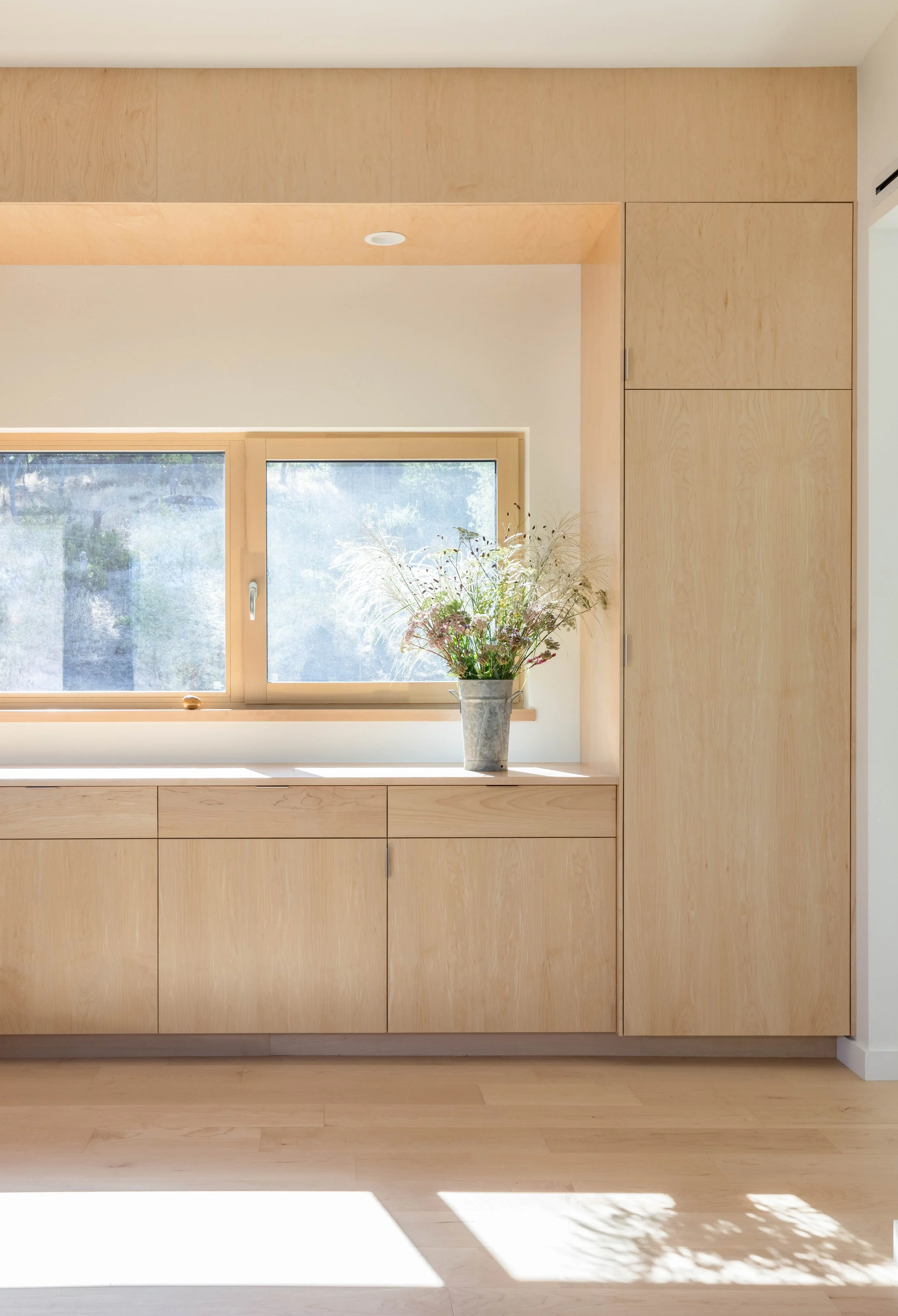 Minimalist interior with light wood cabinets, large window, and potted foliage on a shelf.