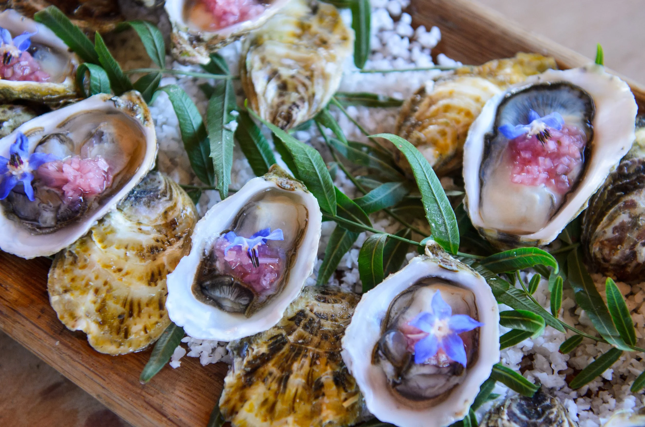 Prepared Kumiai oysters