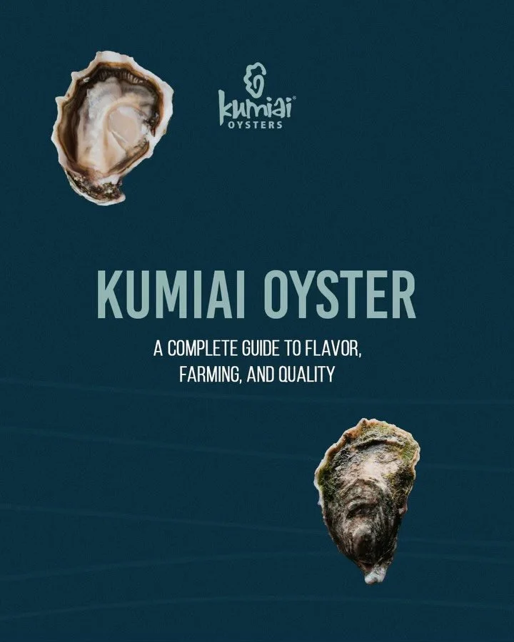 𝐃𝐢𝐬𝐜𝐨𝐯𝐞𝐫 𝐭𝐡𝐞 𝐊𝐮𝐦𝐢𝐚𝐢 𝐎𝐲𝐬𝐭𝐞𝐫: A quick guide🦪

The Kumiai Oyster from Baja Shellfish Farms has been cultivated for over 17 years in the pristine Ojo de Liebre lagoon. With sustainable practices, unique flavor, and strong shell qu