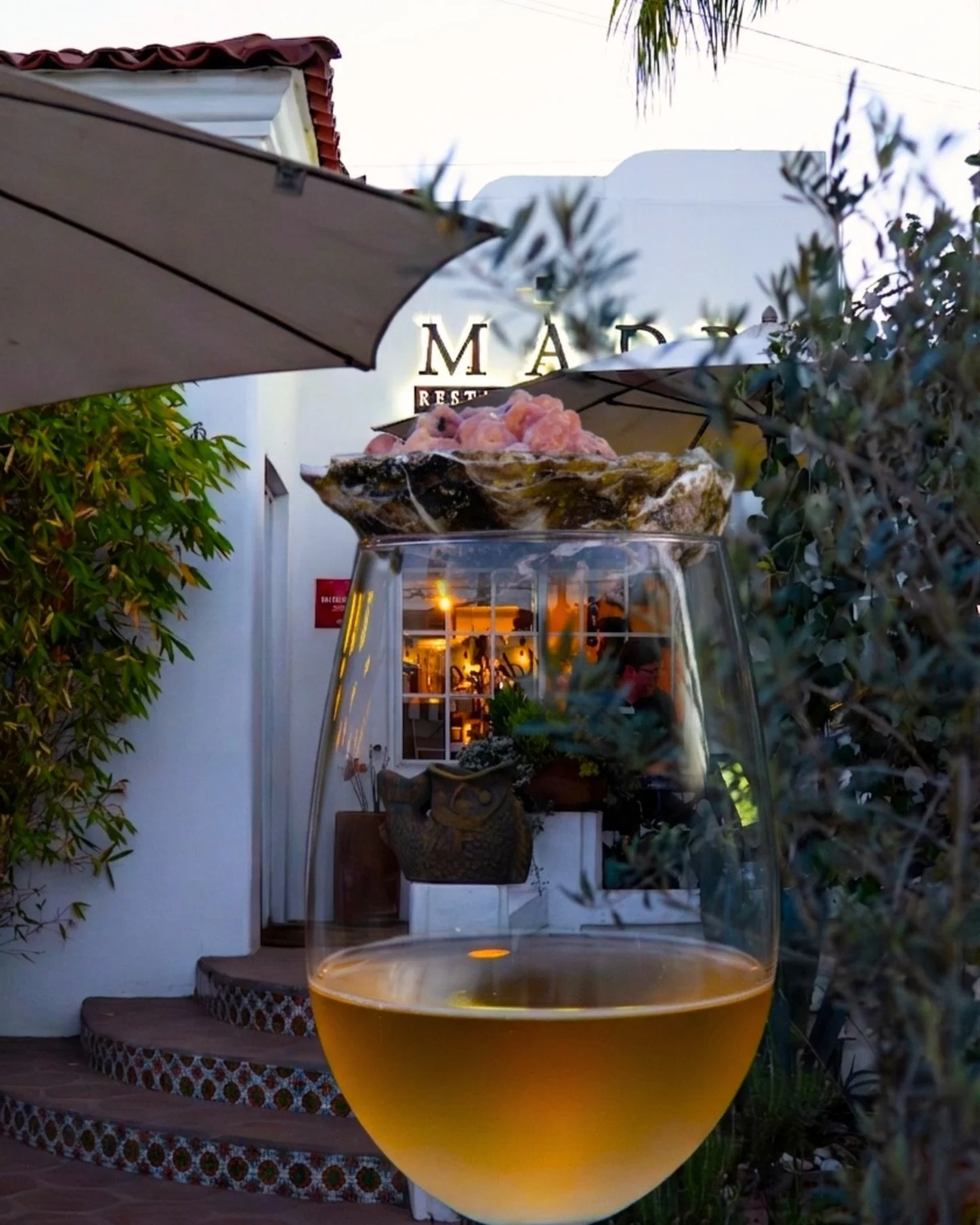 𝗖𝗼𝗻𝗰𝗵𝗶𝘁𝗮𝘀 &amp; 𝗲𝗹 𝗩𝗶𝗻𝗼 𝗱𝗲 𝗹𝗼𝘀 𝗡𝘂𝗲𝘃𝗼𝘀🦪🍷

Fuimos parte de Conchitas &amp; el Vino de los Nuevos en @madre.restaurante , un encuentro creado para conectar con productores locales. Gracias por transformar nuestros productos e