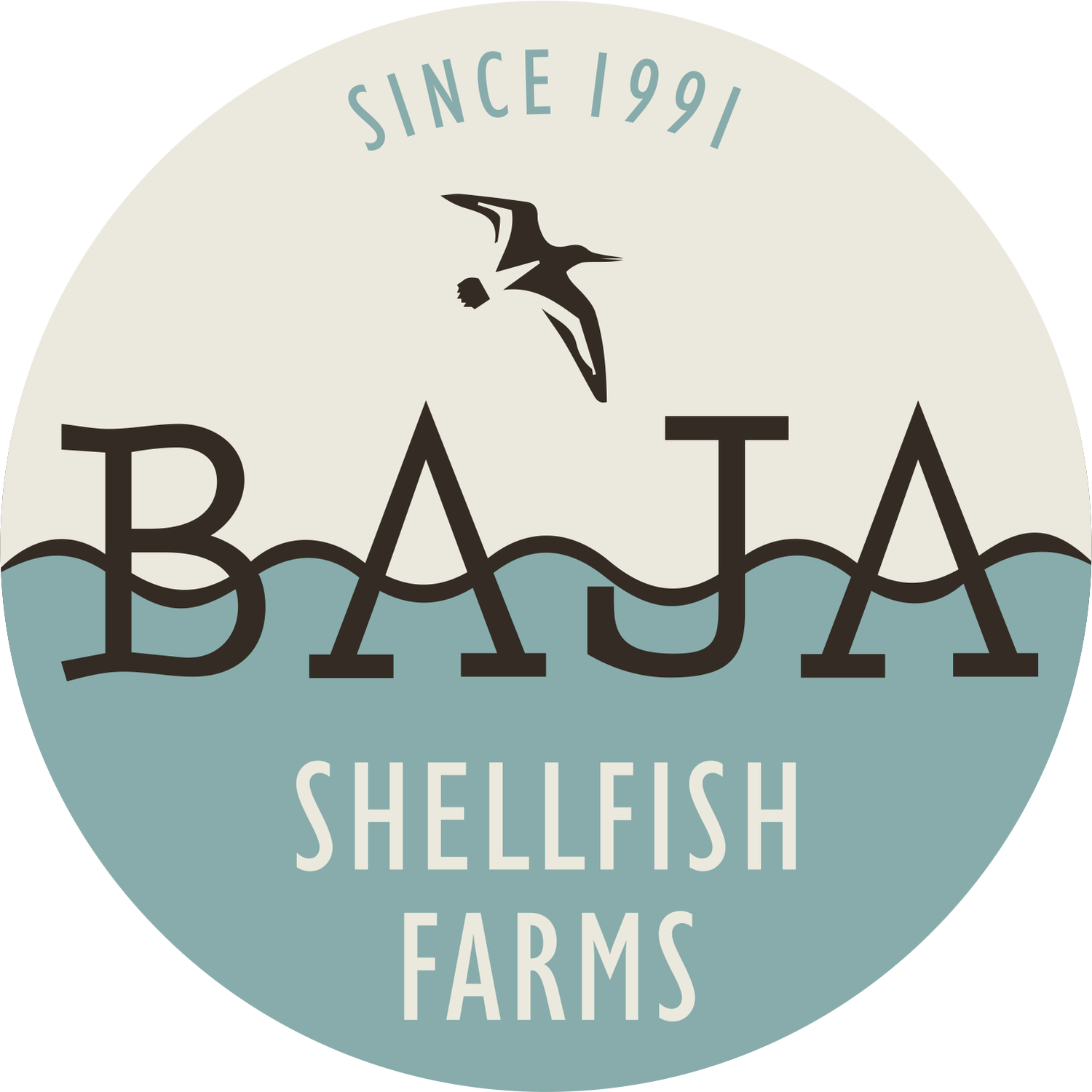 Wholesale Baja Shellfish Farms