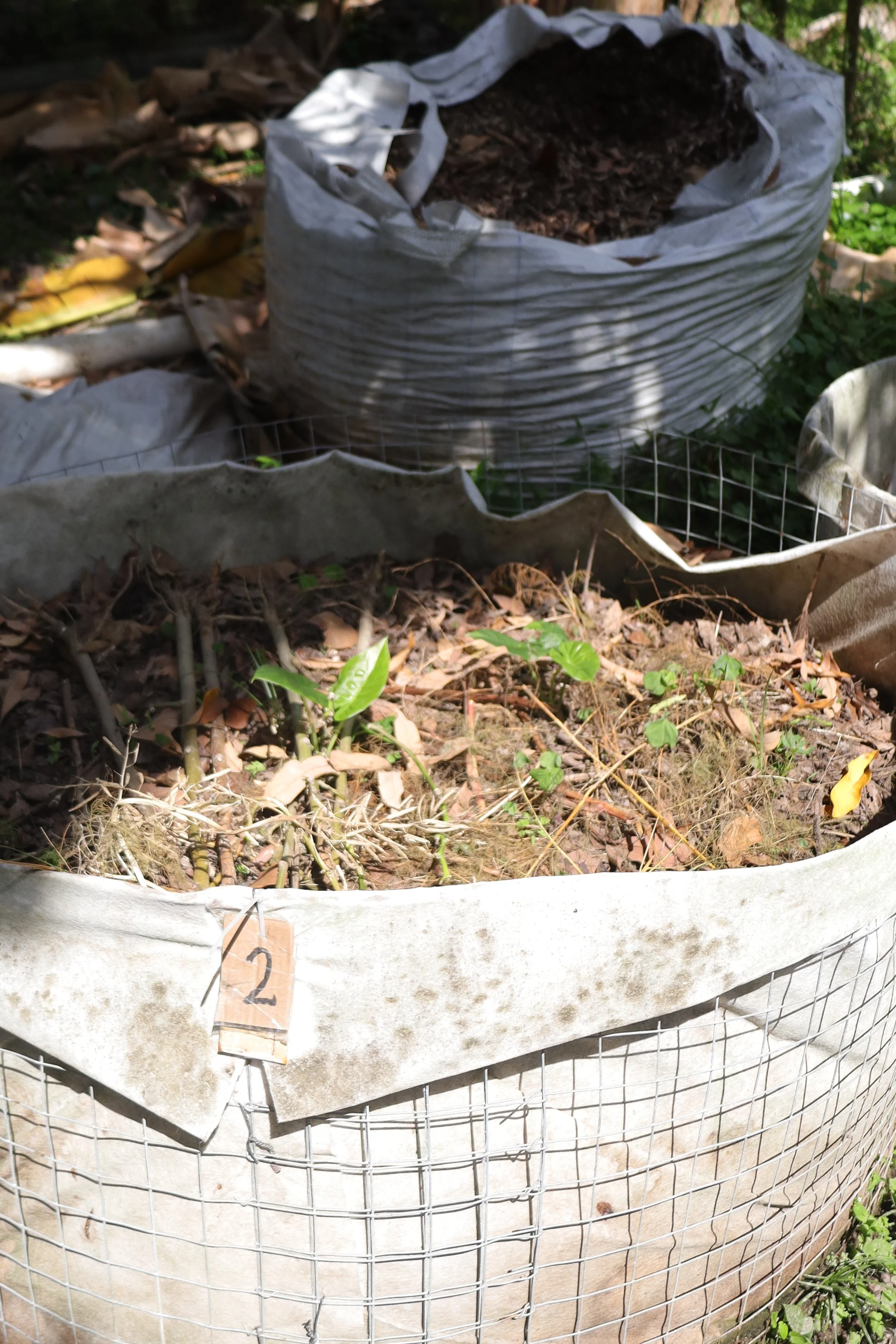 A hand with white gloves on compost
