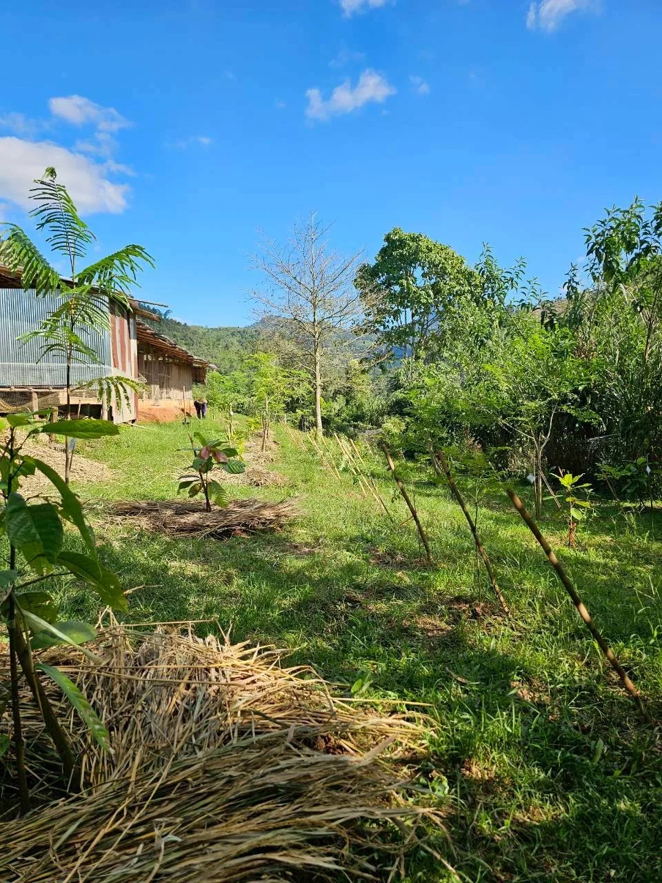 251201 TH Wawee Valley Update-29.jpg