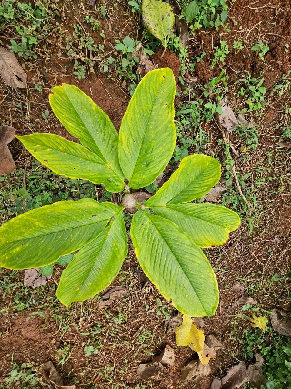 250930 TH Wawee Valley Updated Model Farm-08.jpg