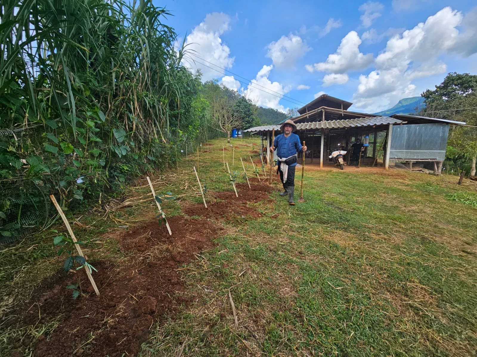 250905 TH Wawee Valley Foundation Re-planting model farm-59-43.jpg