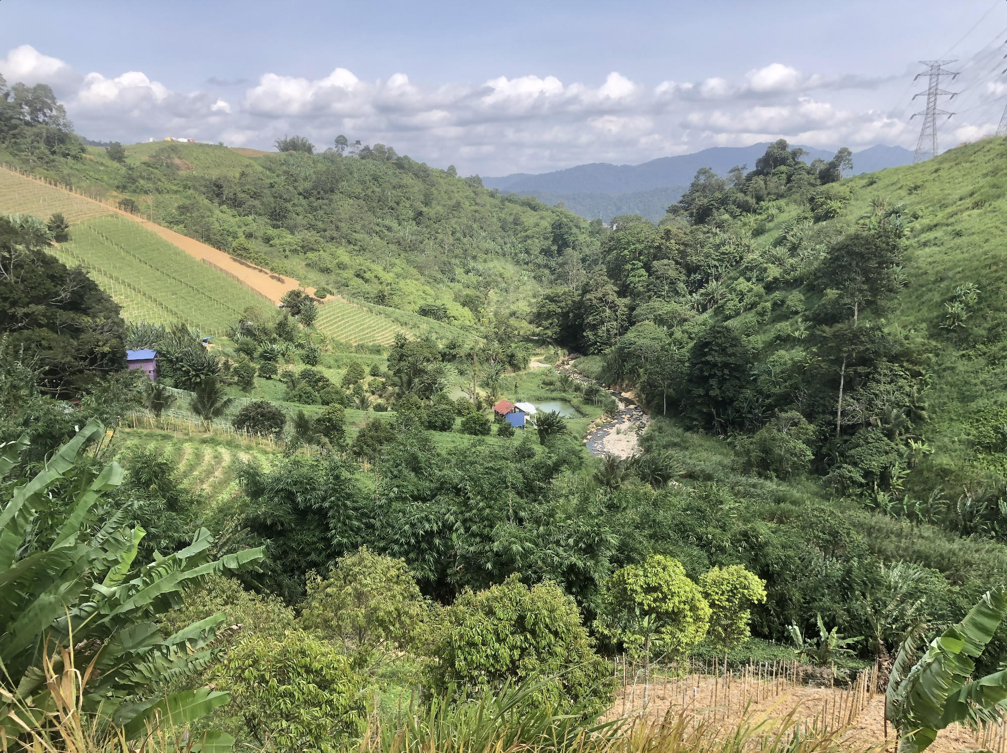 Our Malaysia Pilot is Underway!