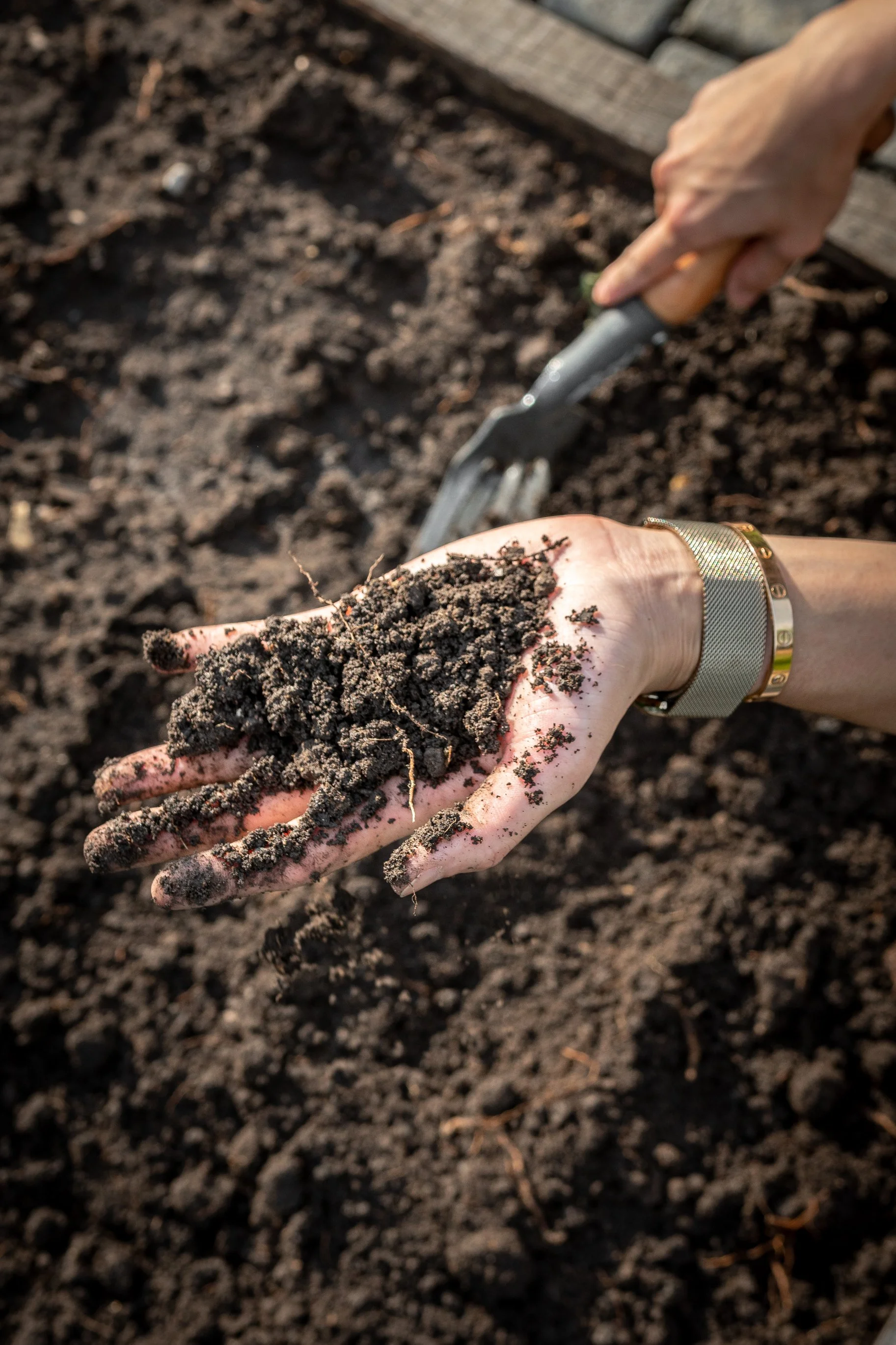 DIEGO ARENAS_ BAAN-7.jpg