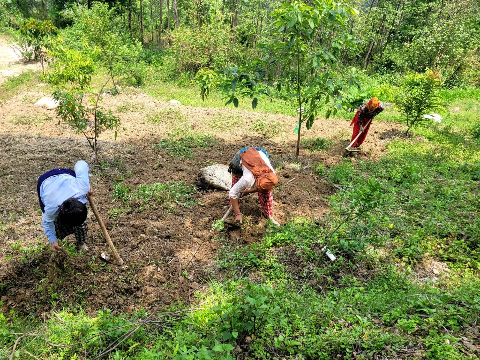 From Assessment to Action: How FAO TAPE is Guiding a Just Agroecological Transition in Rural Nepal