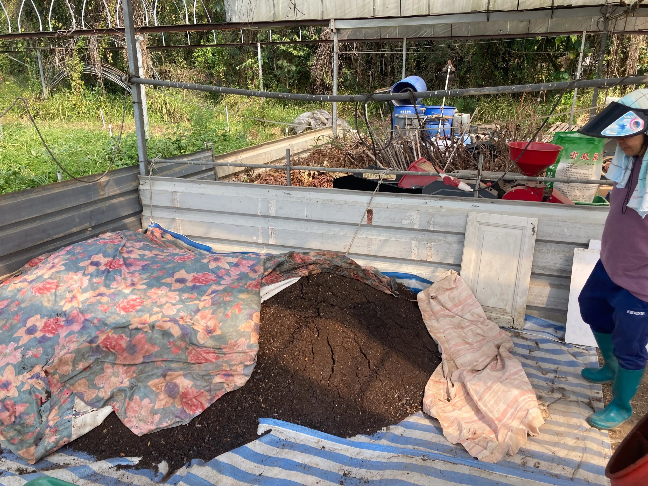 20230303_activated compost.jpg