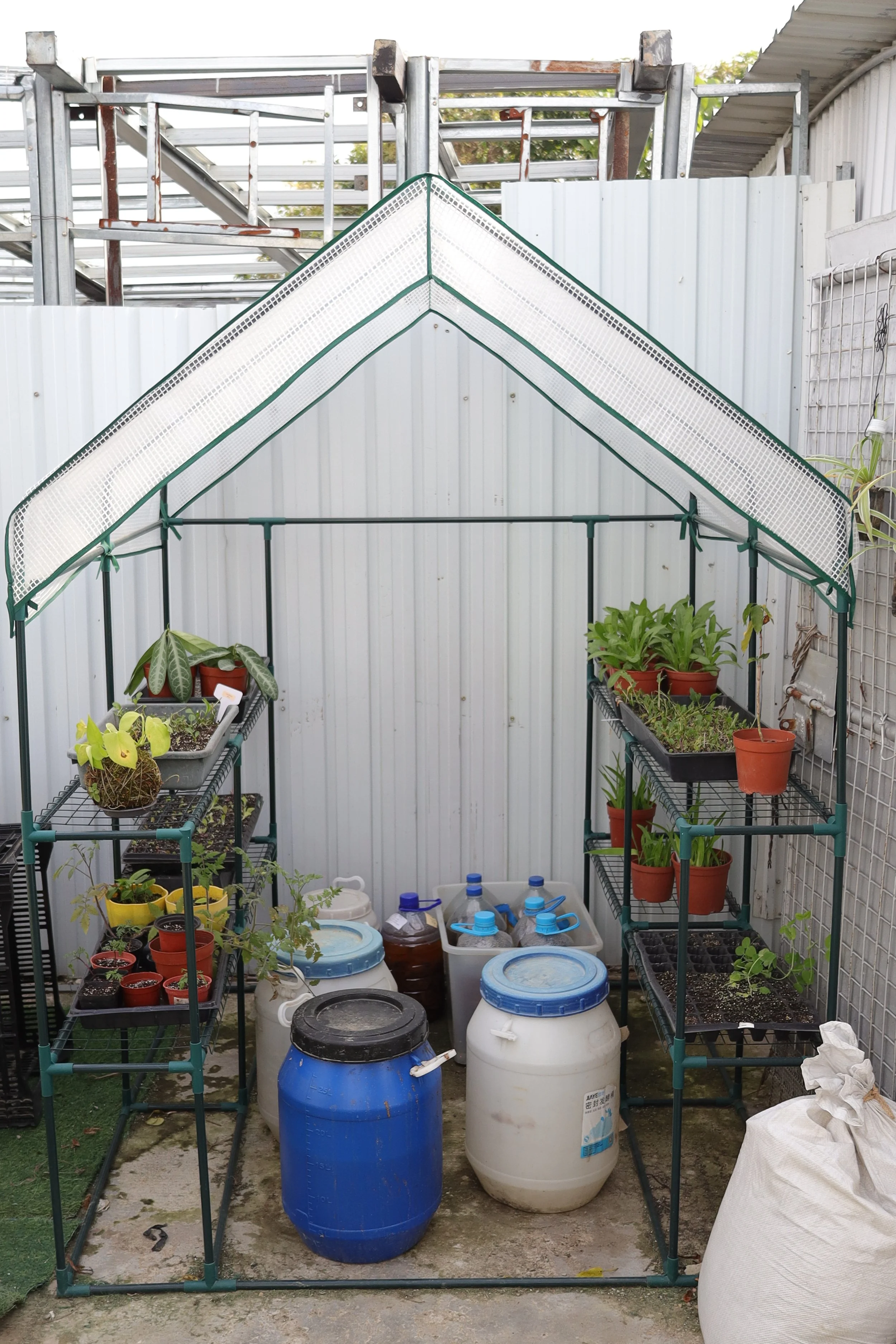 Seed germination tent with buckets of bio-active plant nutrient ferments