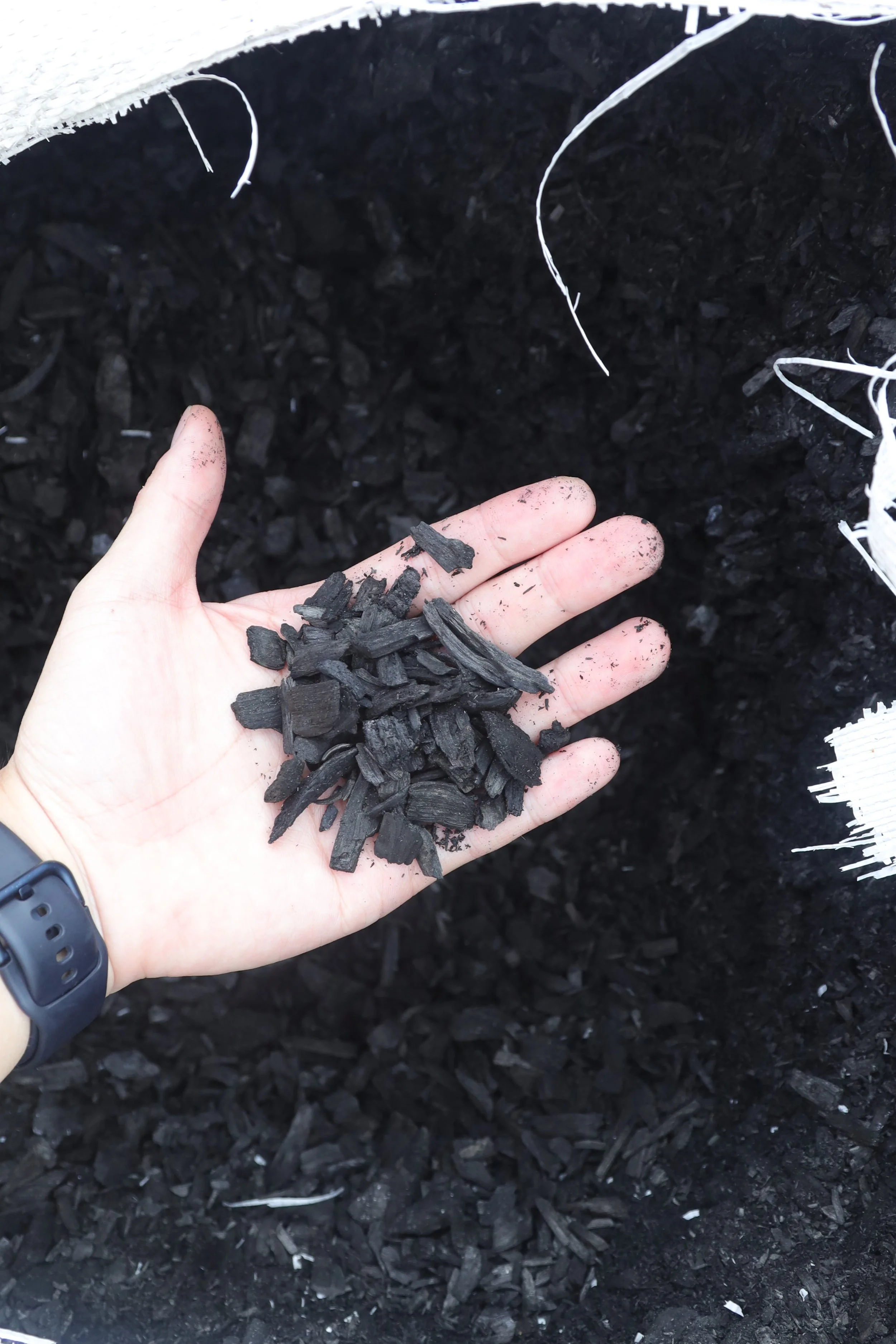 hand holding blackened biochar