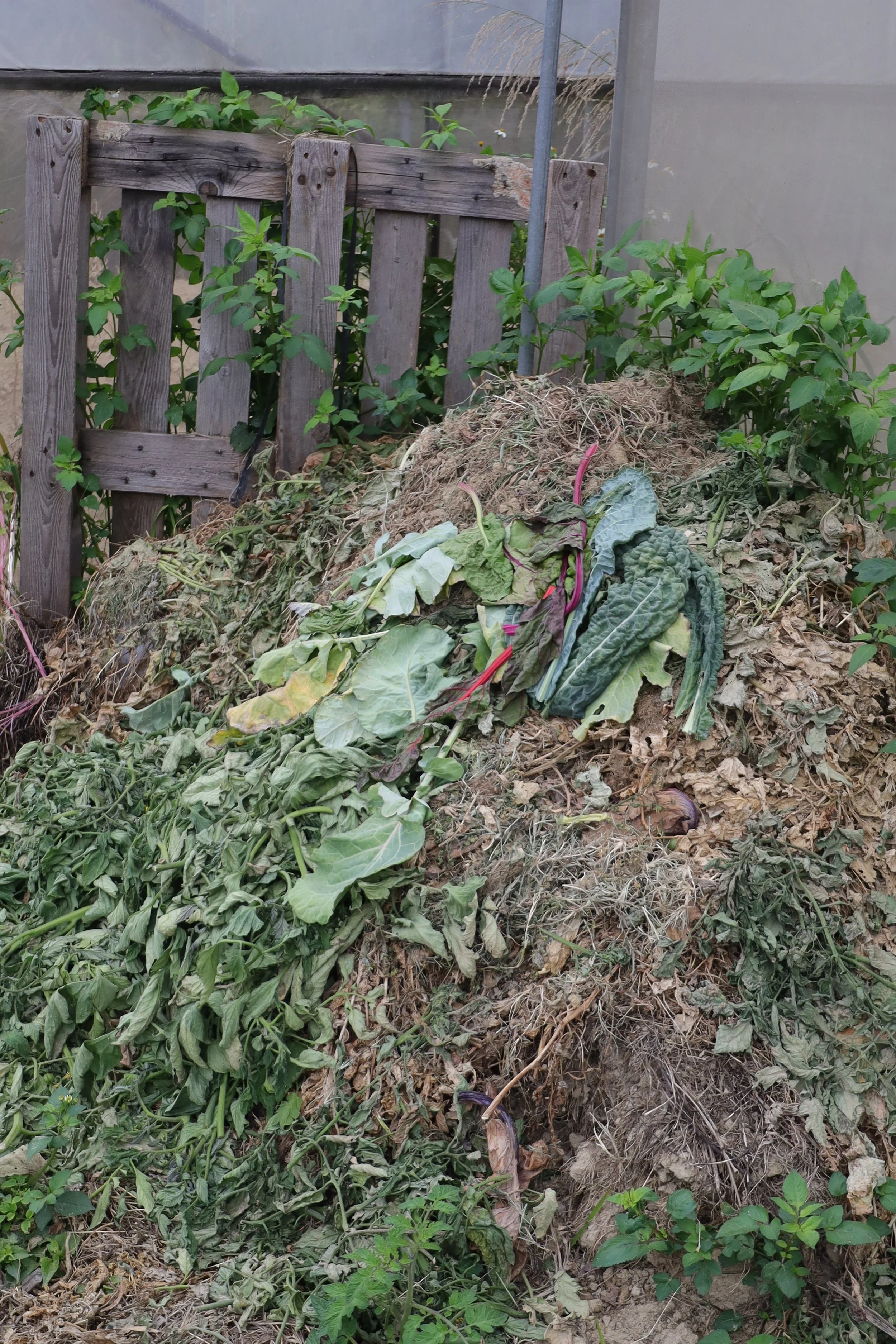 Compost with green and brown material