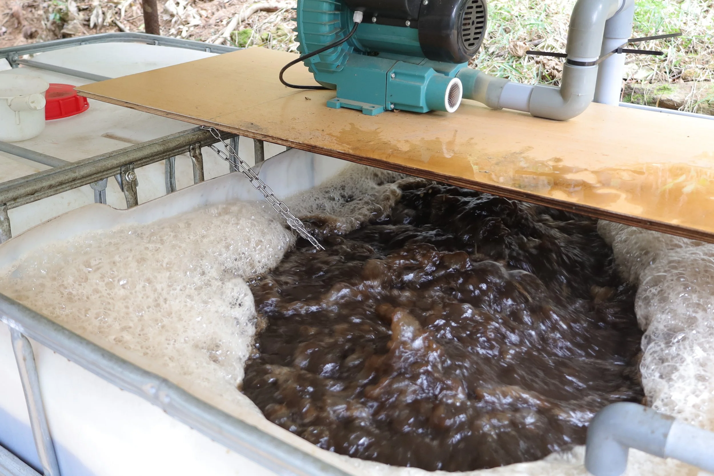 Brown compost tea in the brew of a white container