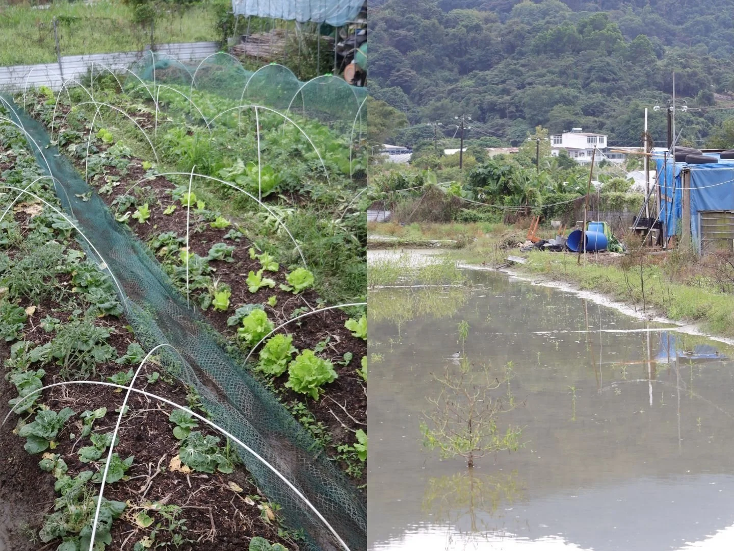 Aquiares Presentation 12 Jan.jpg