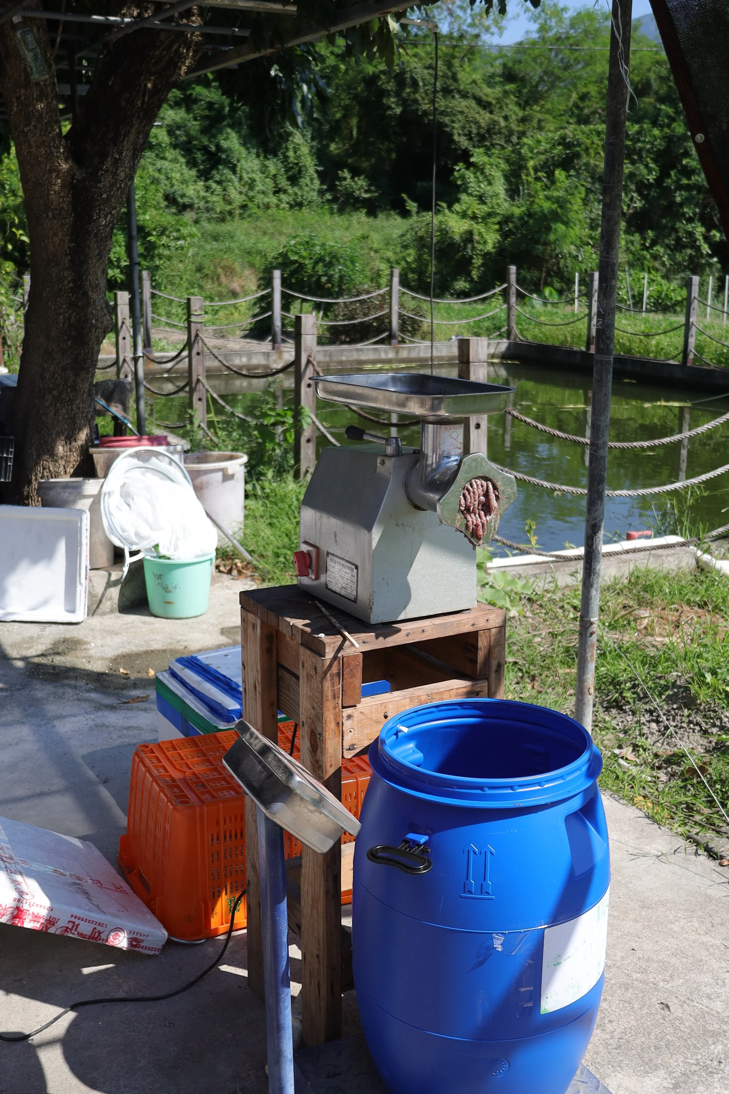 grinder with fish and a blue bucket beneath